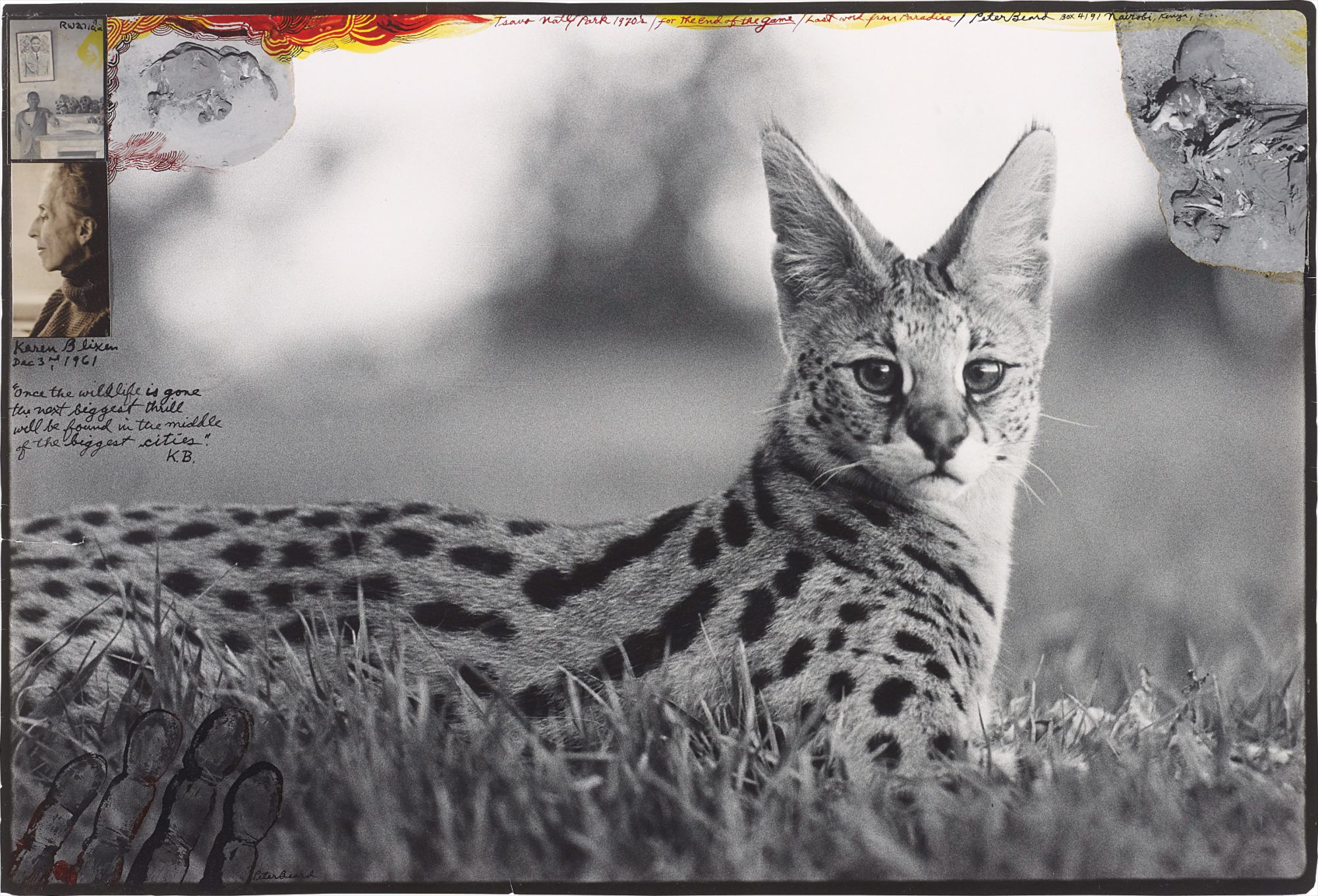 Peter Beard — Tsavo Natl. Park/ For the End of the Game/ Last word from Paradise