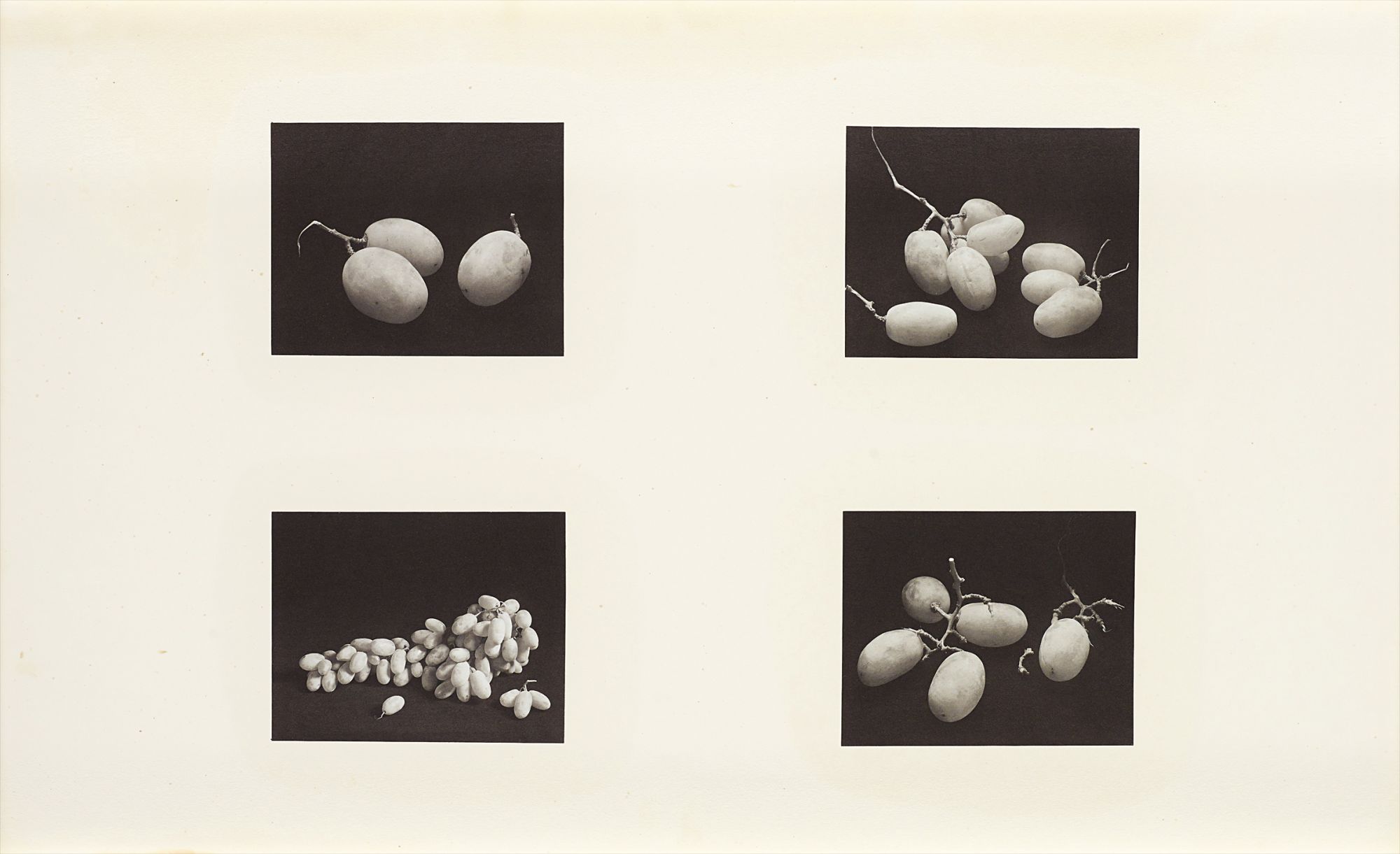 Irving Penn — Four Photographs of Grapes (A), New York, Feb