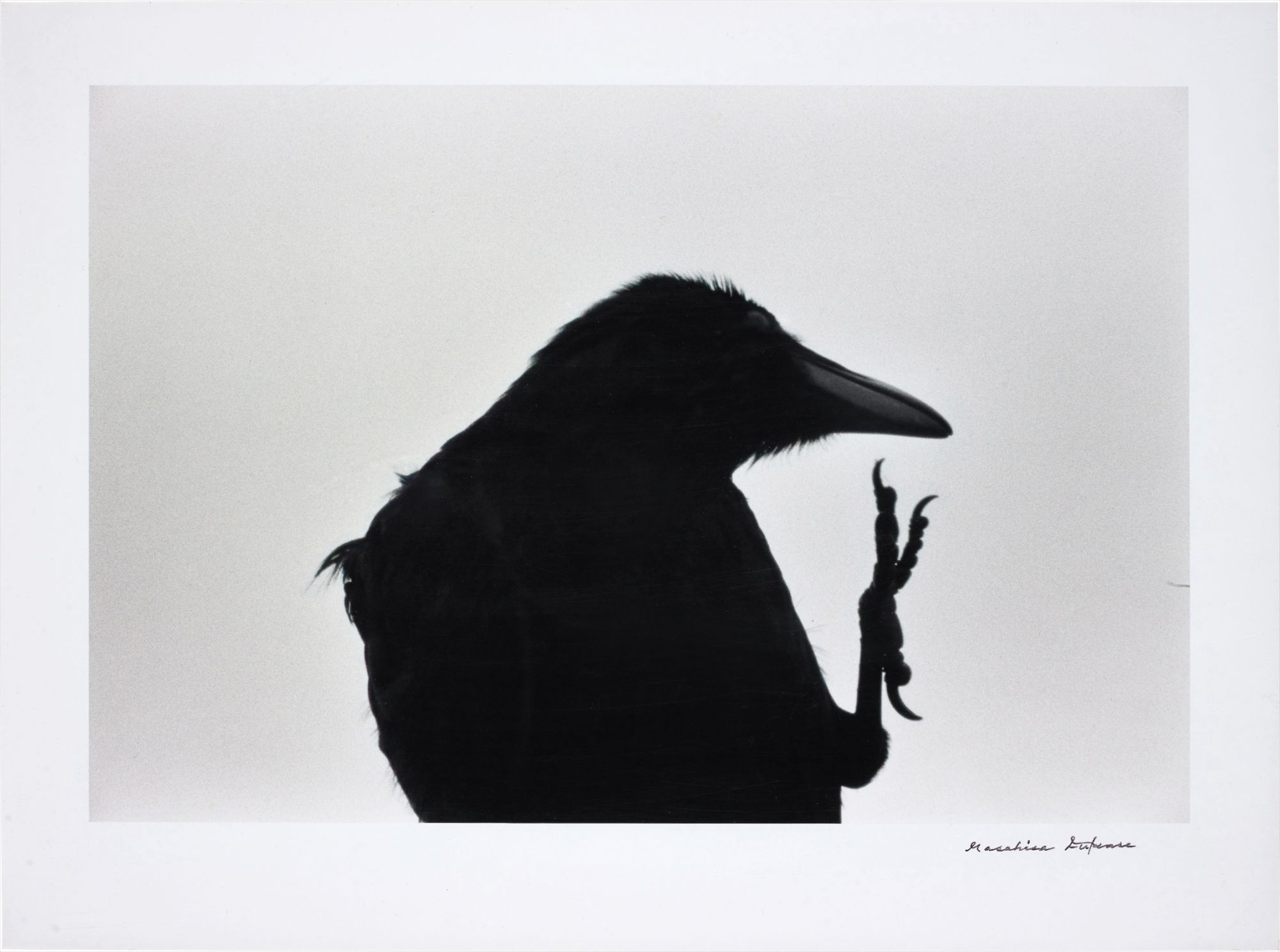 襟裳岬 [Erimo Misaki] Cape Erimo from 鴉 [Karasu] Ravens