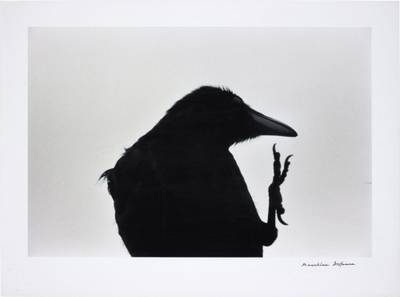 襟裳岬 [Erimo Misaki] Cape Erimo from 鴉 [Karasu] Ravens