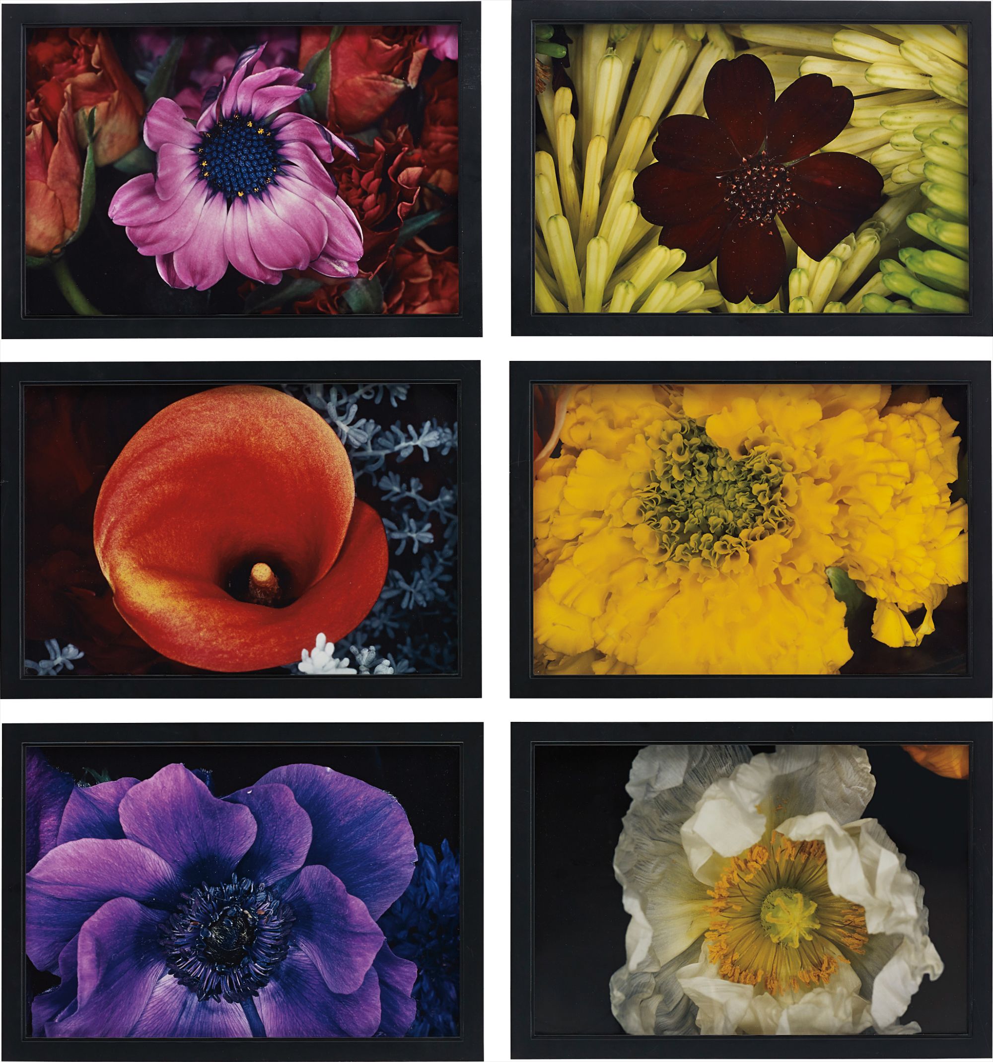 Selected Images from Shijyo, Tokyo - Marketplace of Emotions and Kakyoku