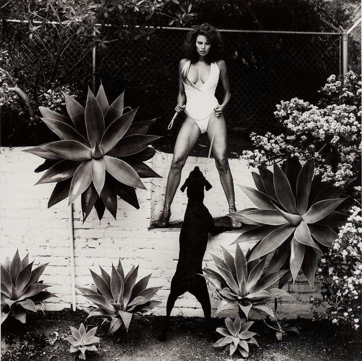 Helmut Newton — Raquel Welch in her backyard, Beverly Hills
