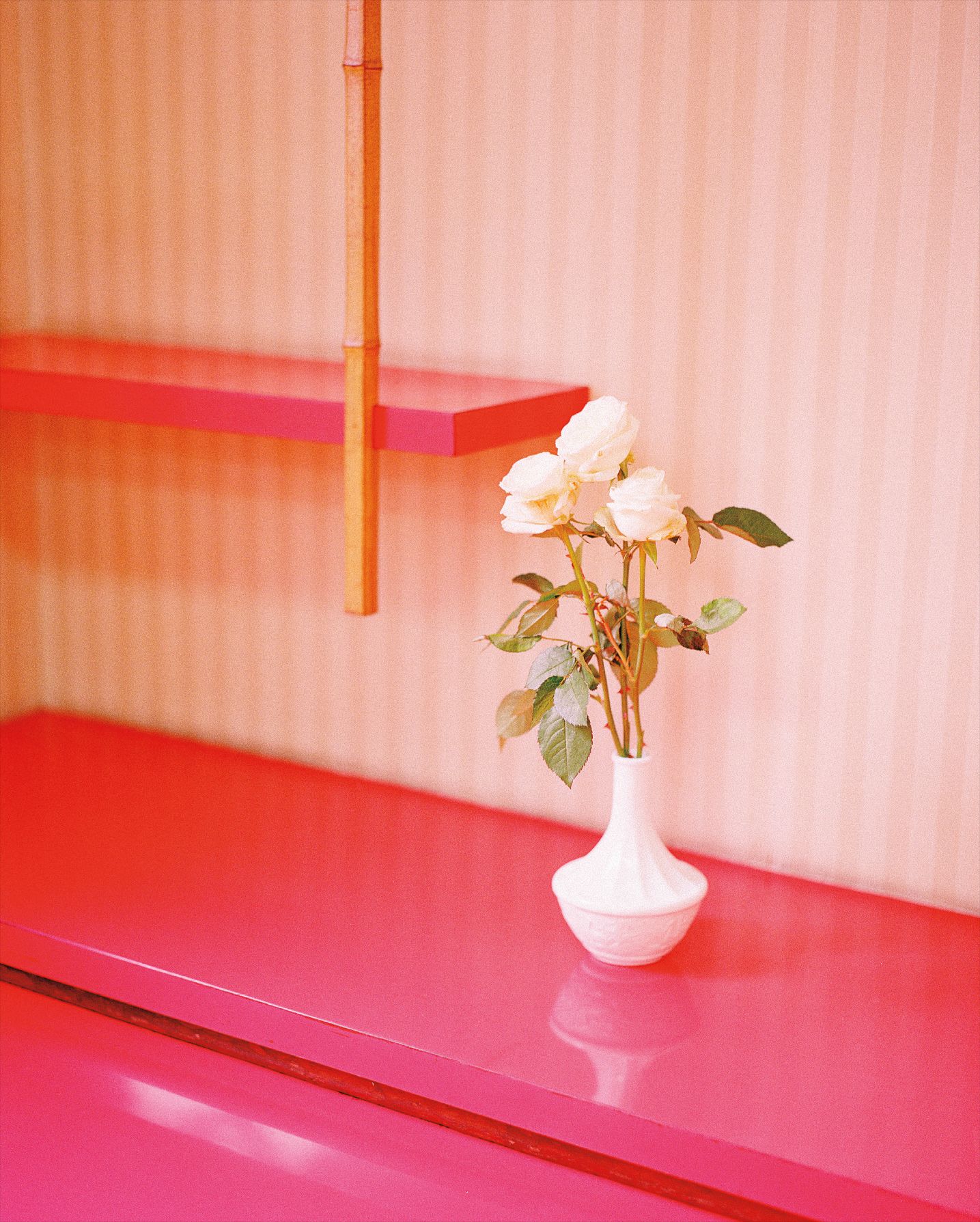 Kazuyoshi Usui — White Roses from Showa88