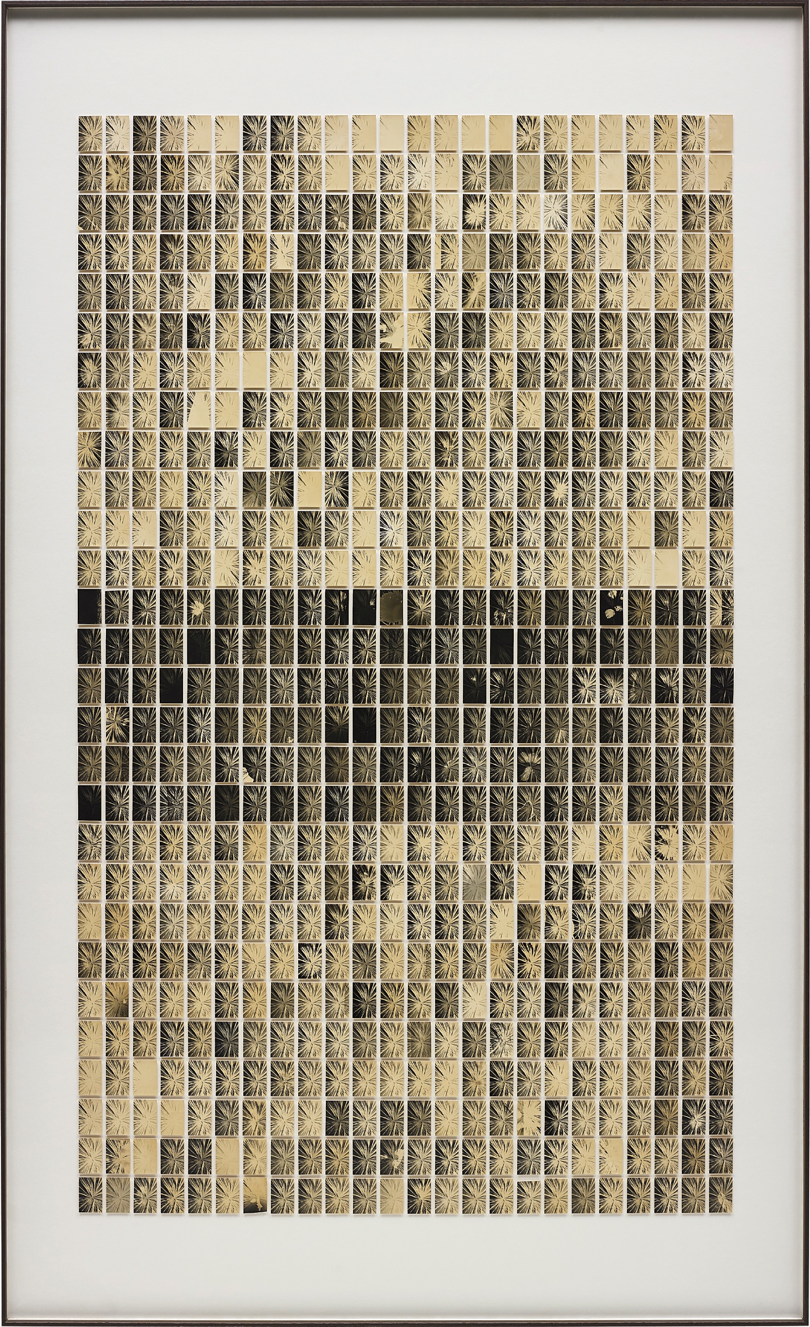 Bruno V. Roels — A Palm Tree is A Palm Tree is A Palm Tree (672 Tiny Explosions)