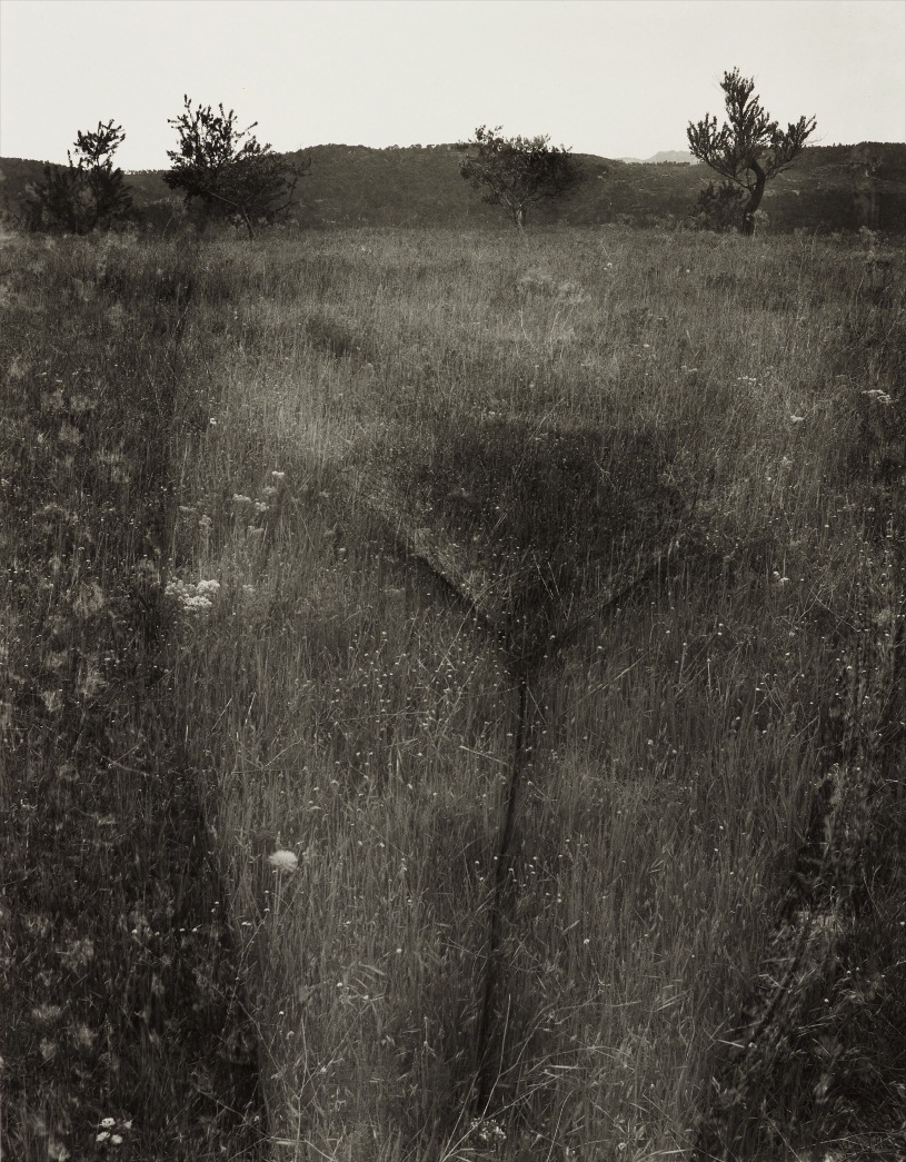 Harry Callahan — Eleanor, Aix-en-Provence, France