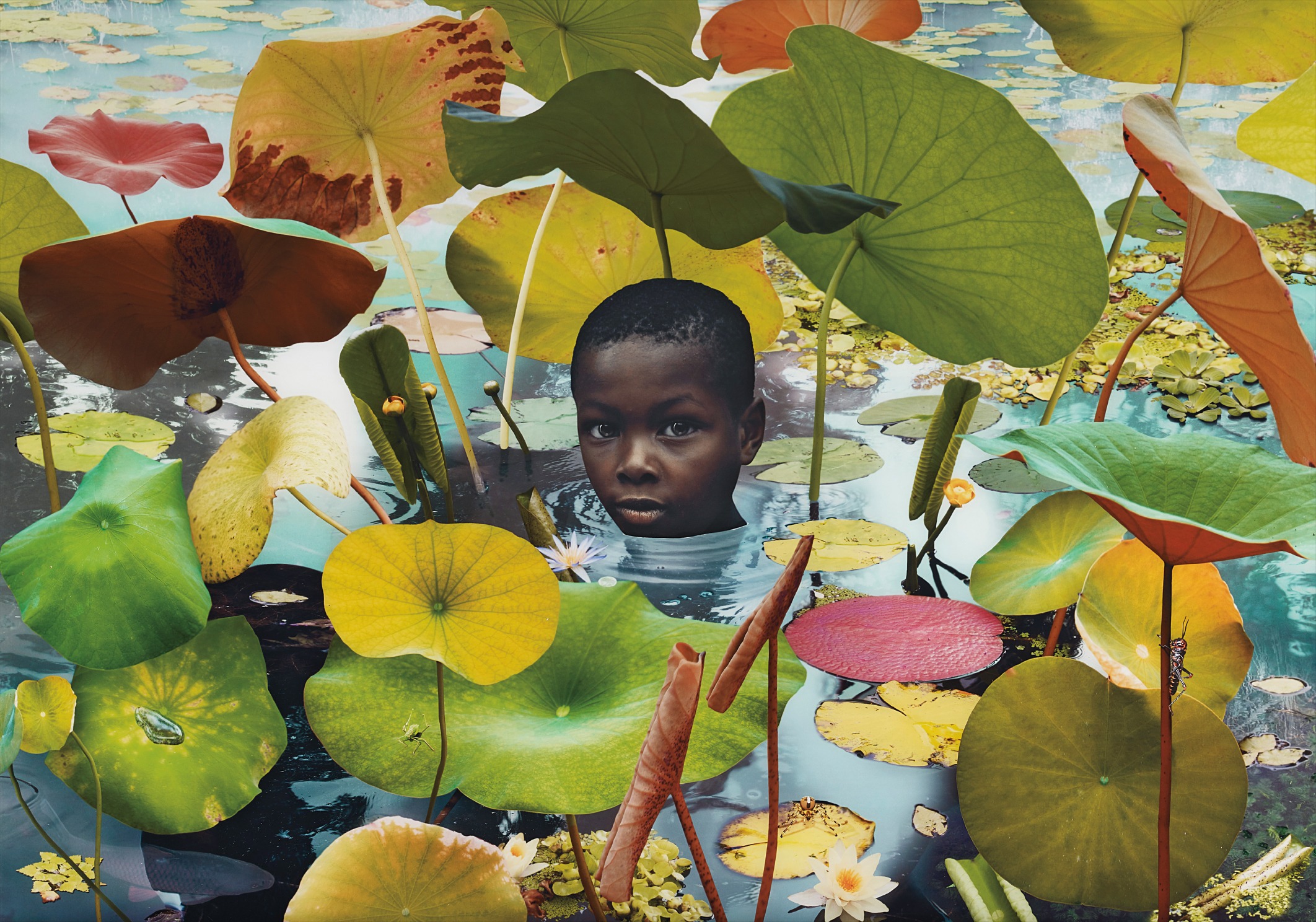 Ruud van Empel — World #6