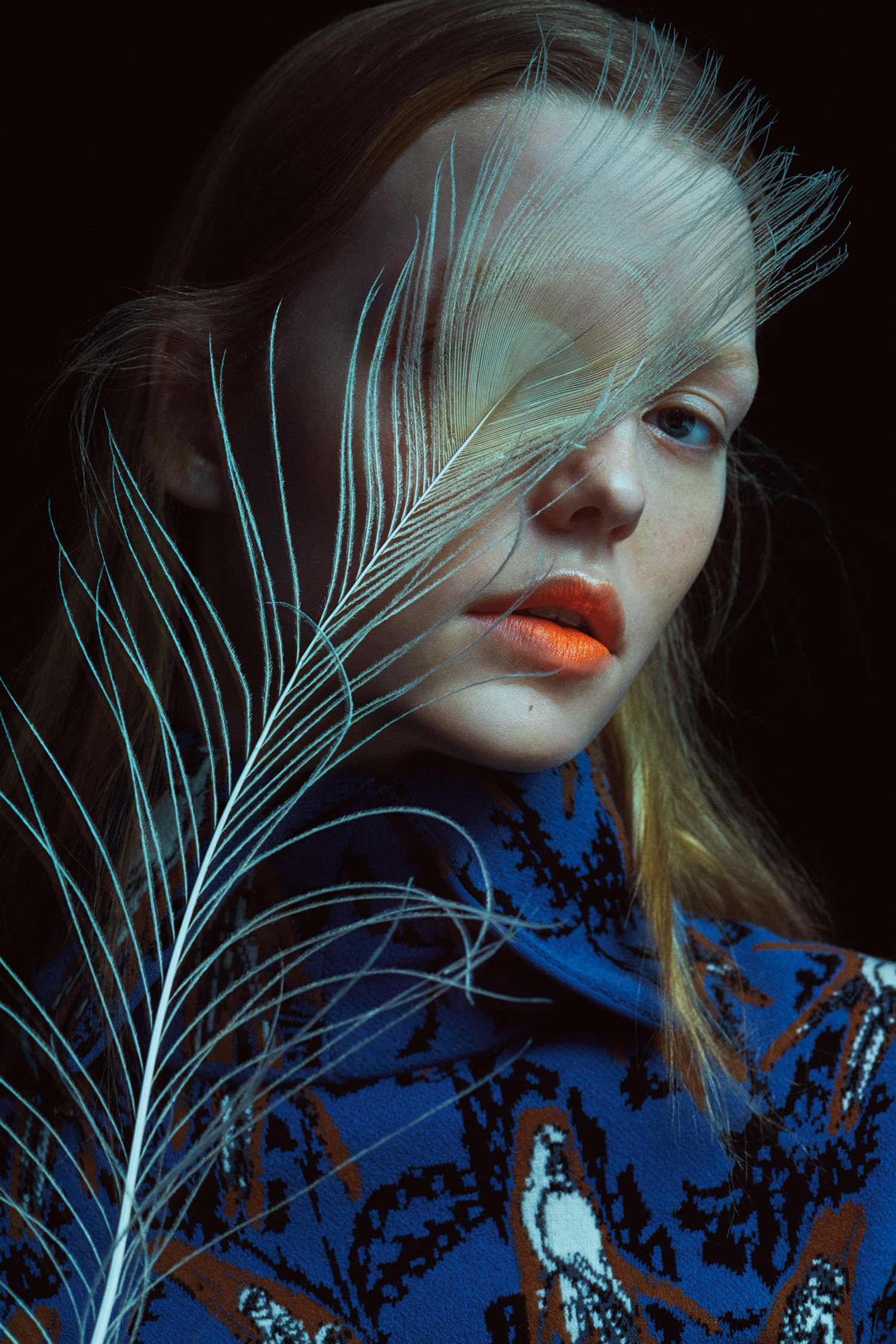 Txema Yeste — Bird of Paradise