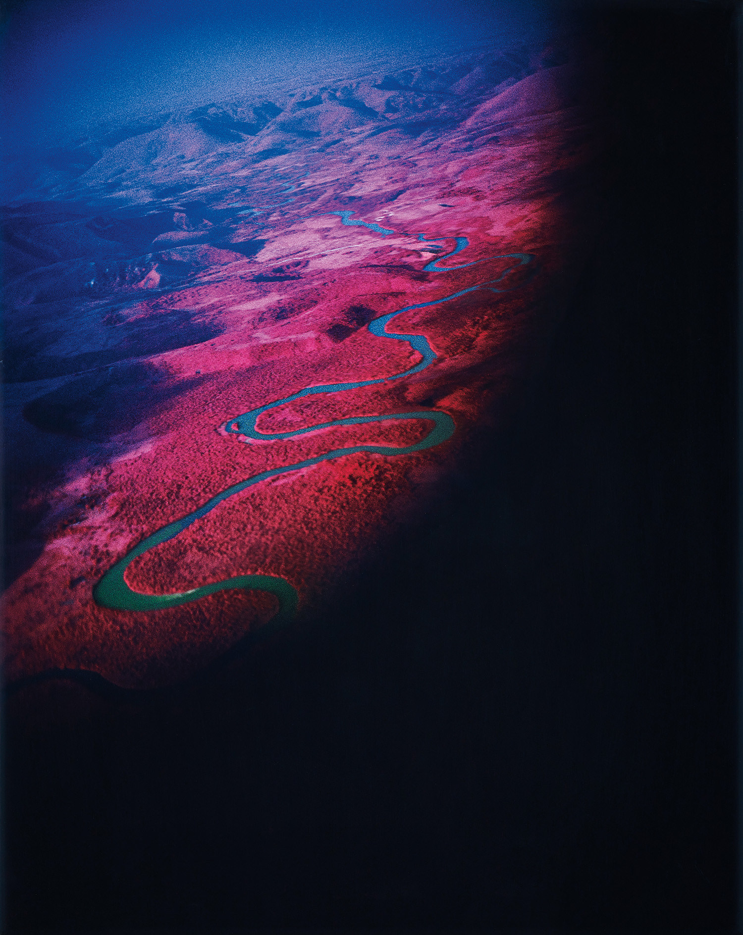 Richard Mosse — Another Green World (Infra series)