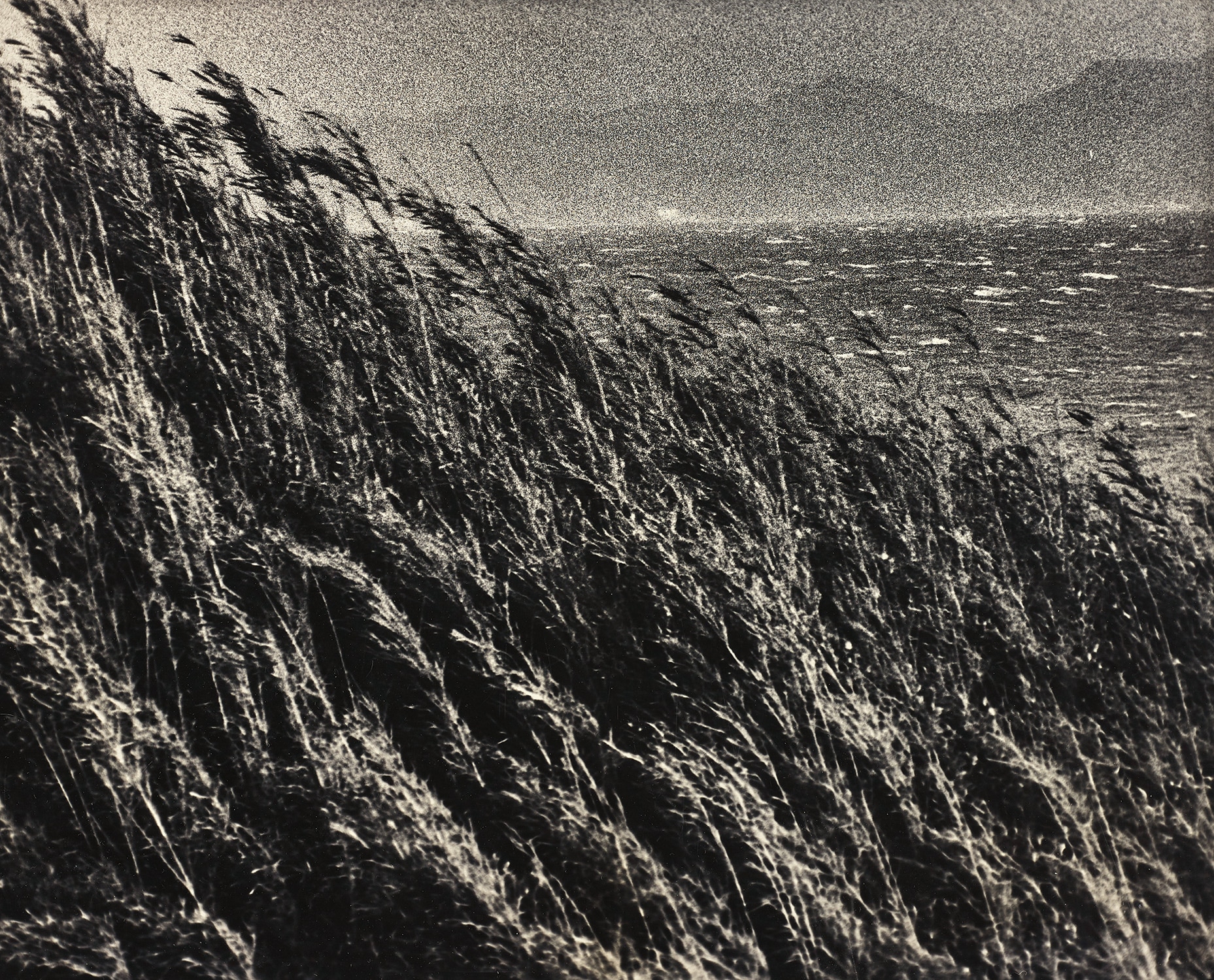 絶唱、横須賀ストーリー#5 野比海岸, Yokosuka Story #5 Nobikaigan