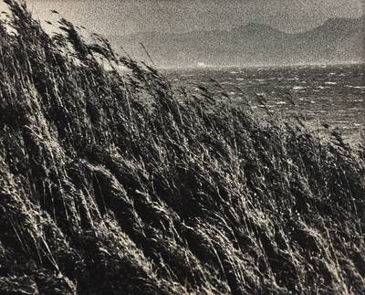 絶唱、横須賀ストーリー#5 野比海岸, Yokosuka Story #5 Nobikaigan