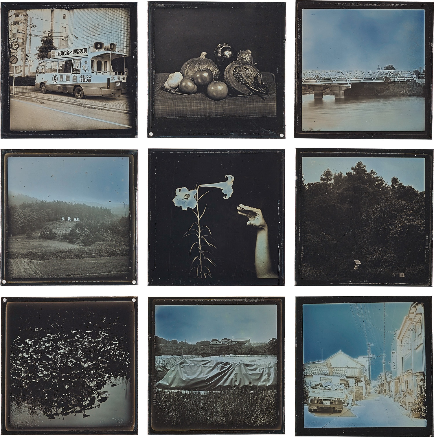 Takashi Arai — Fukushima, 2016-2017 from Daily D-type Project