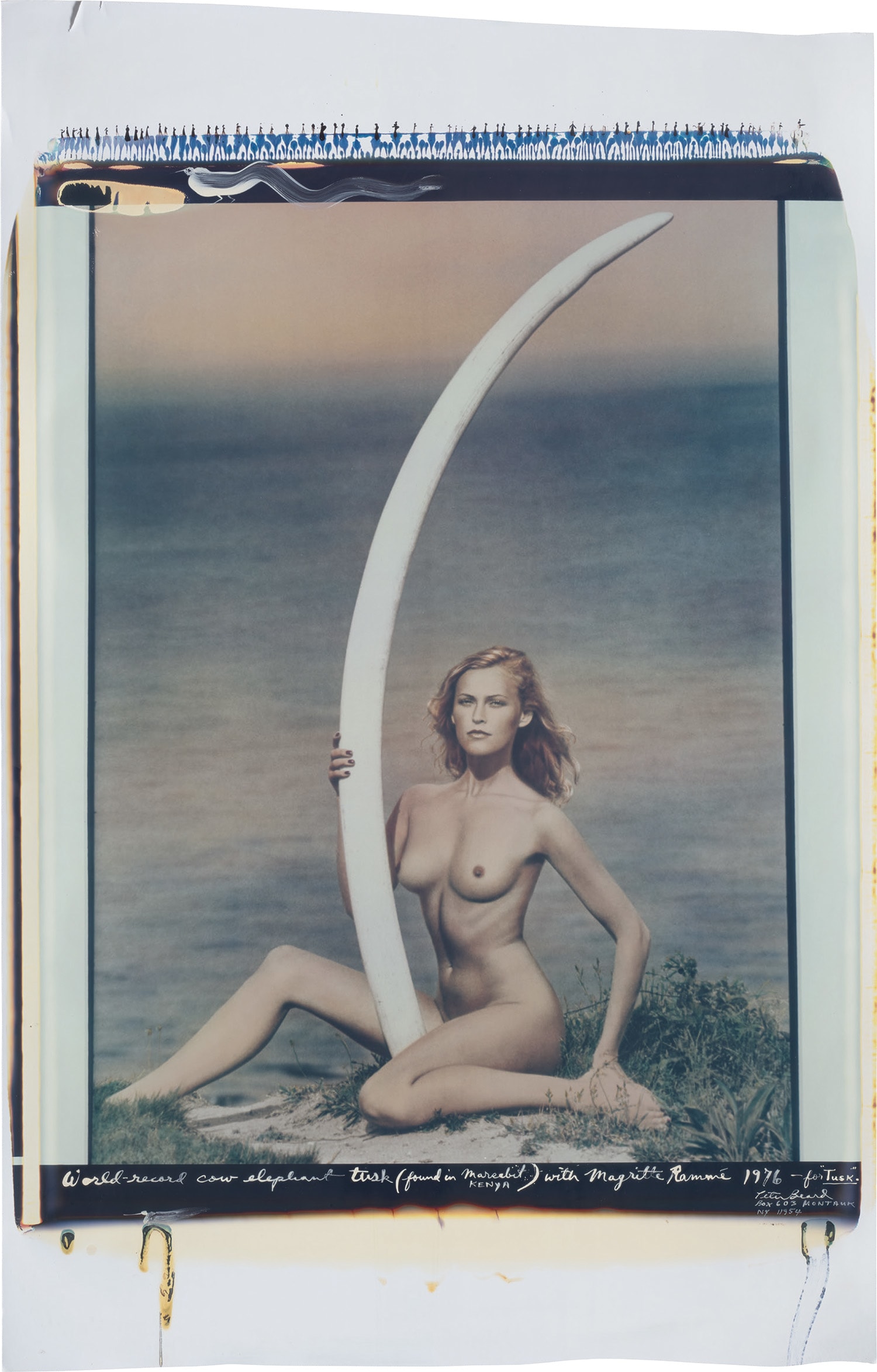 Peter Beard — World-record cow elephant tusk (found in marsabit Kenya) with Magritte Rammé – for “Tusk”