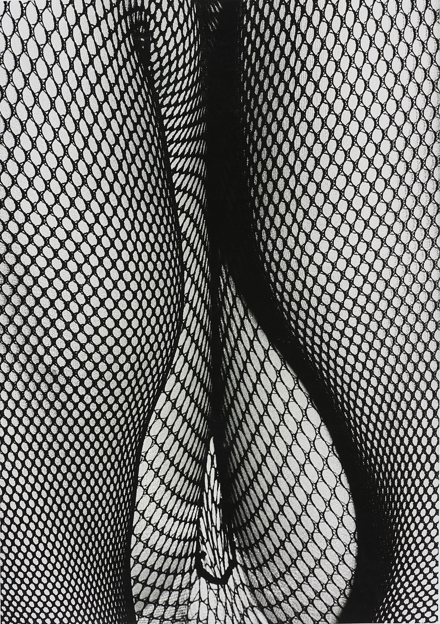 荒木経惟 Nobuyoshi Araki — Photo-Maniac's Color Diary