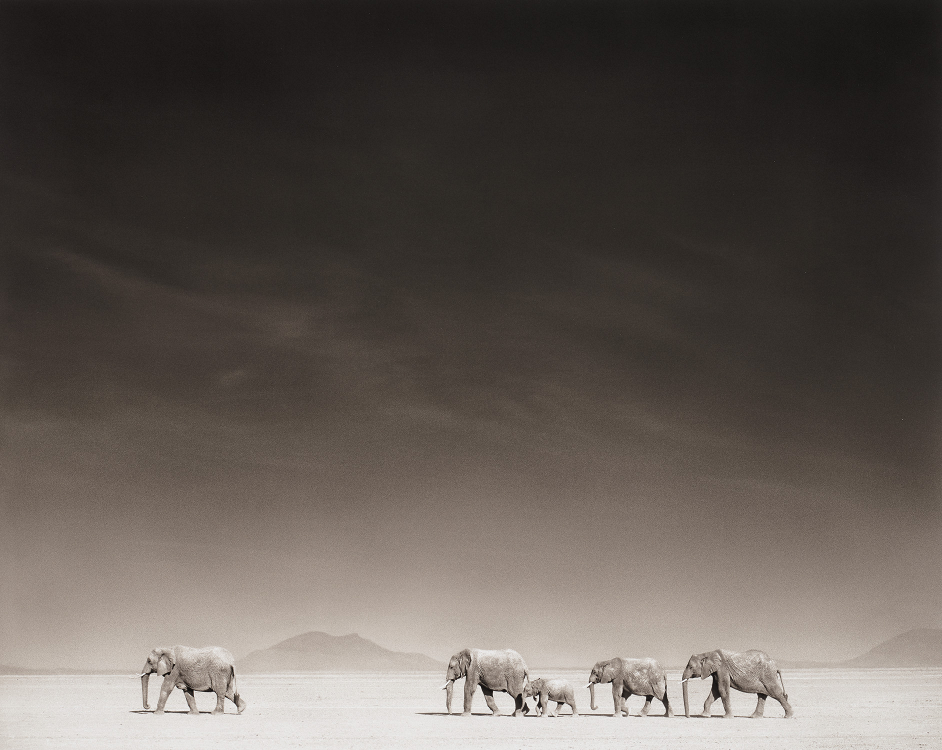 Sebastião Salgado — A Leopard in the Barab River Valley, Damaraland, Namibia