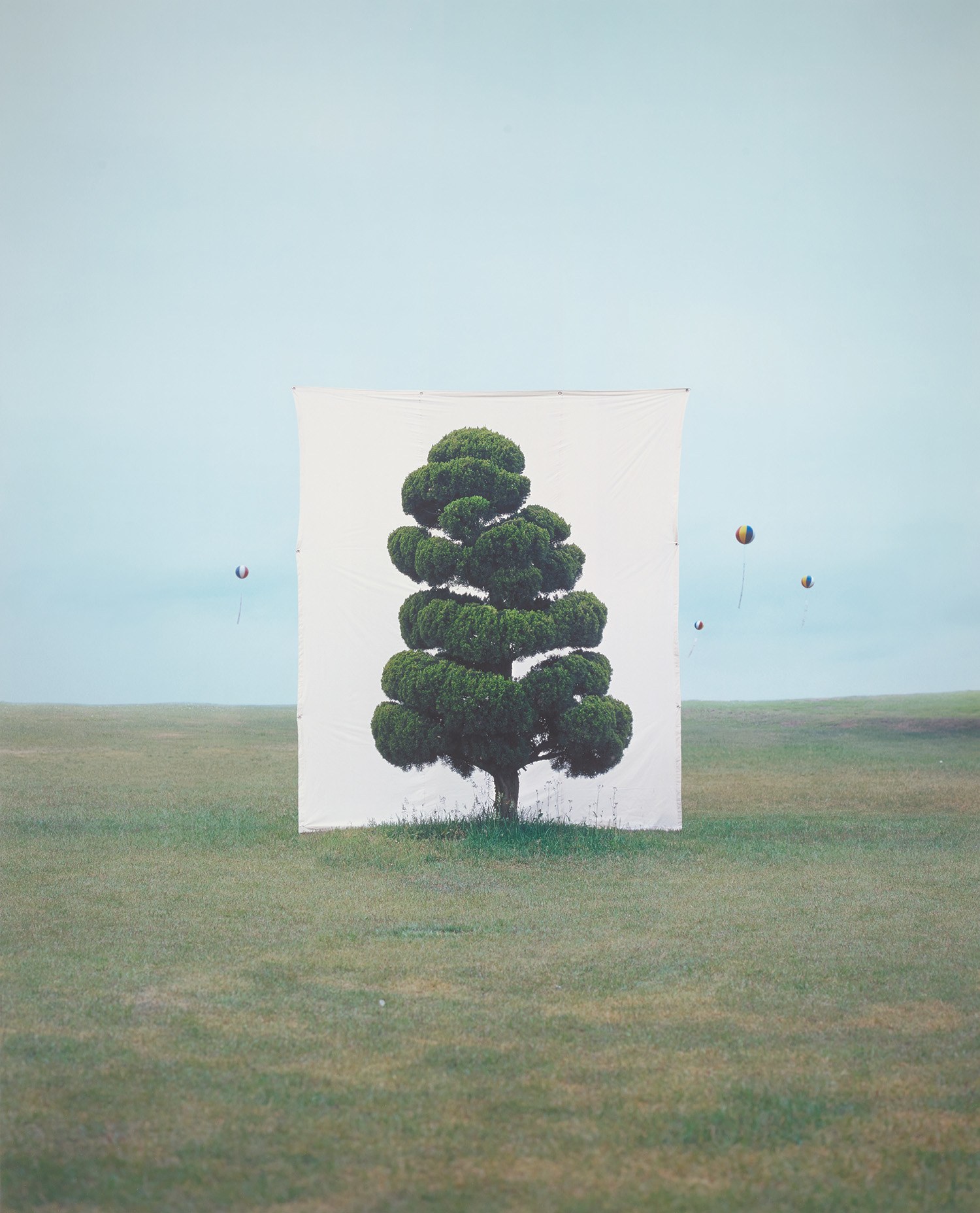 Myoung Ho Lee — Tree #2