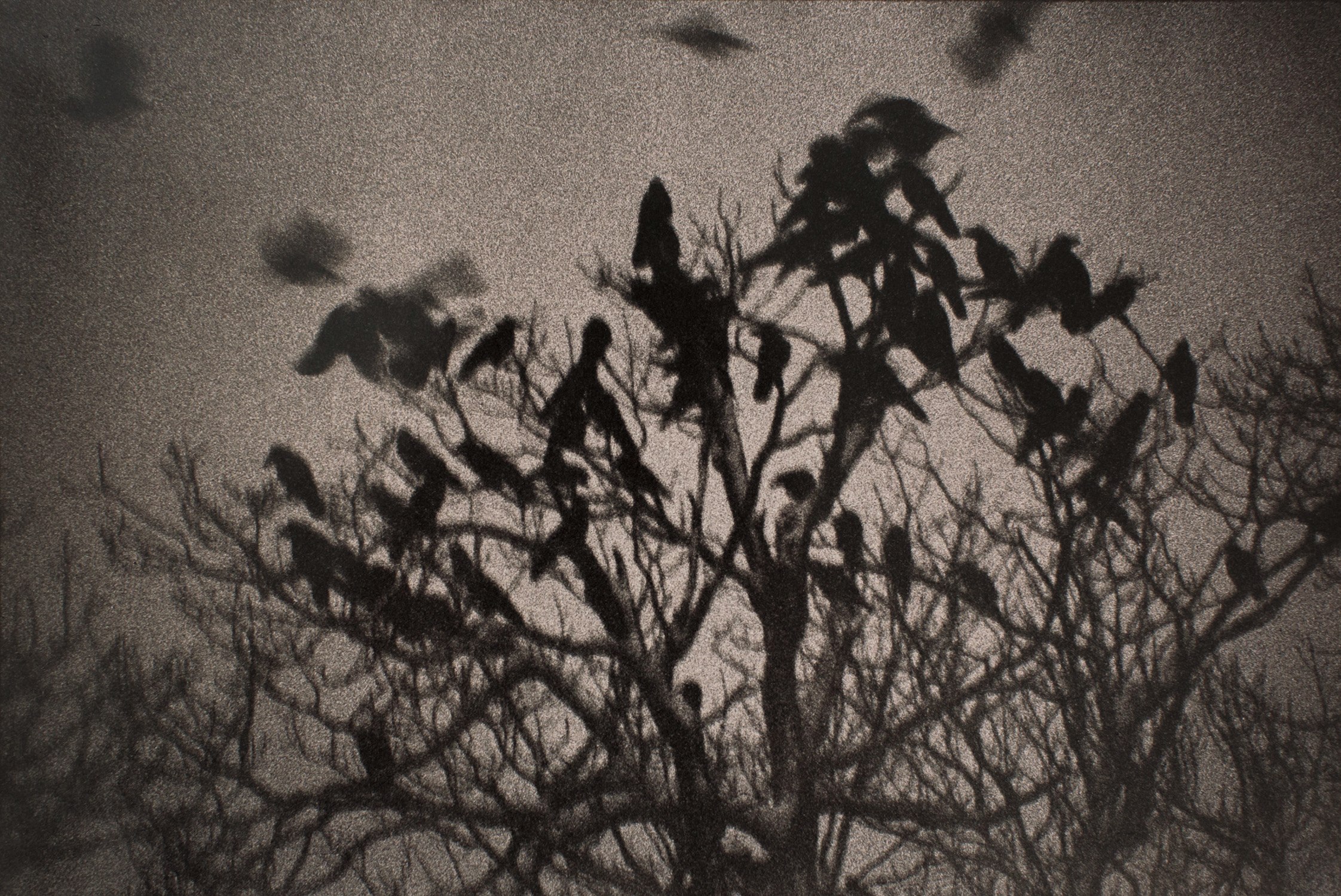 Kanazawa from Ravens