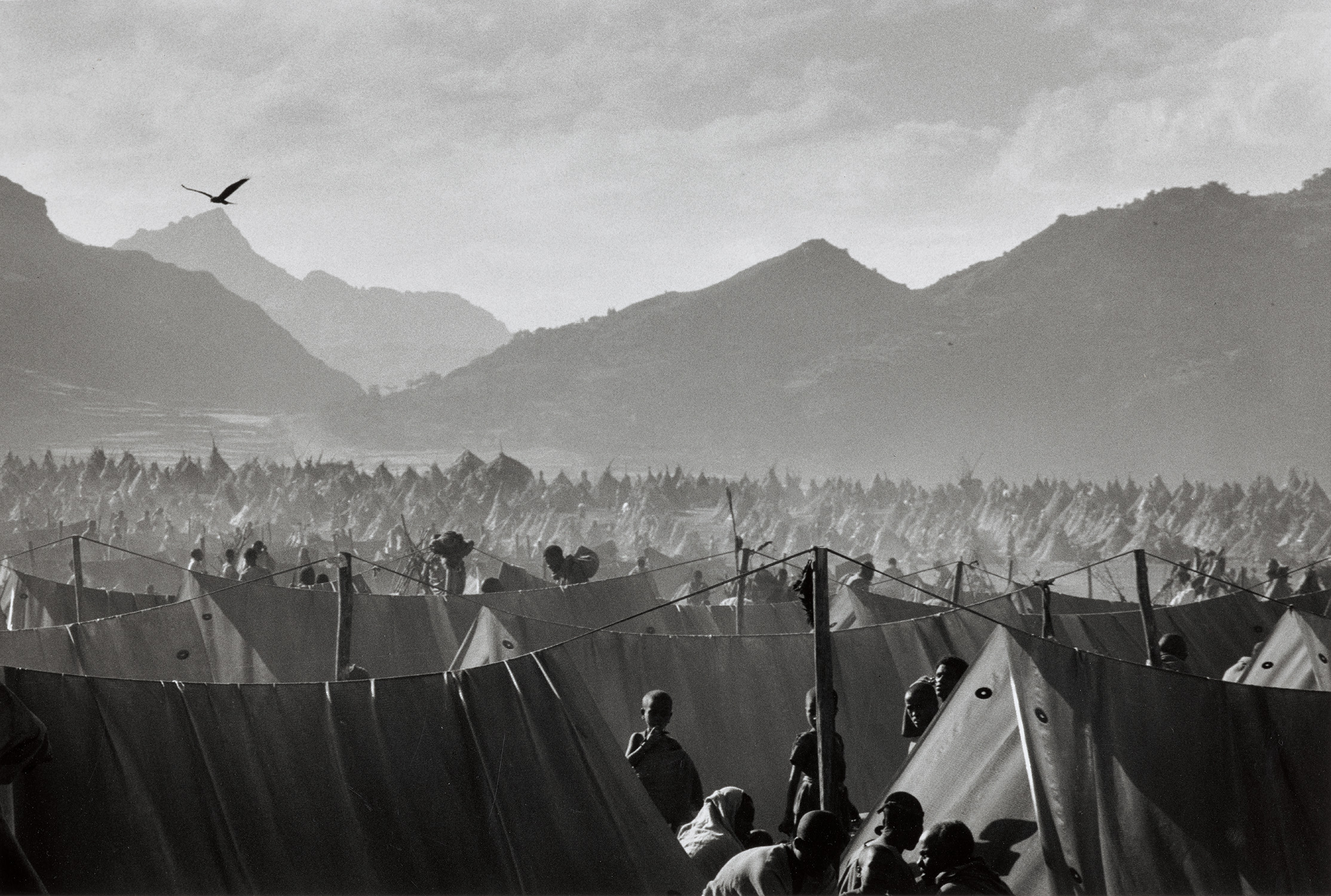 The Refugee Camp of Korem, Ethiopia