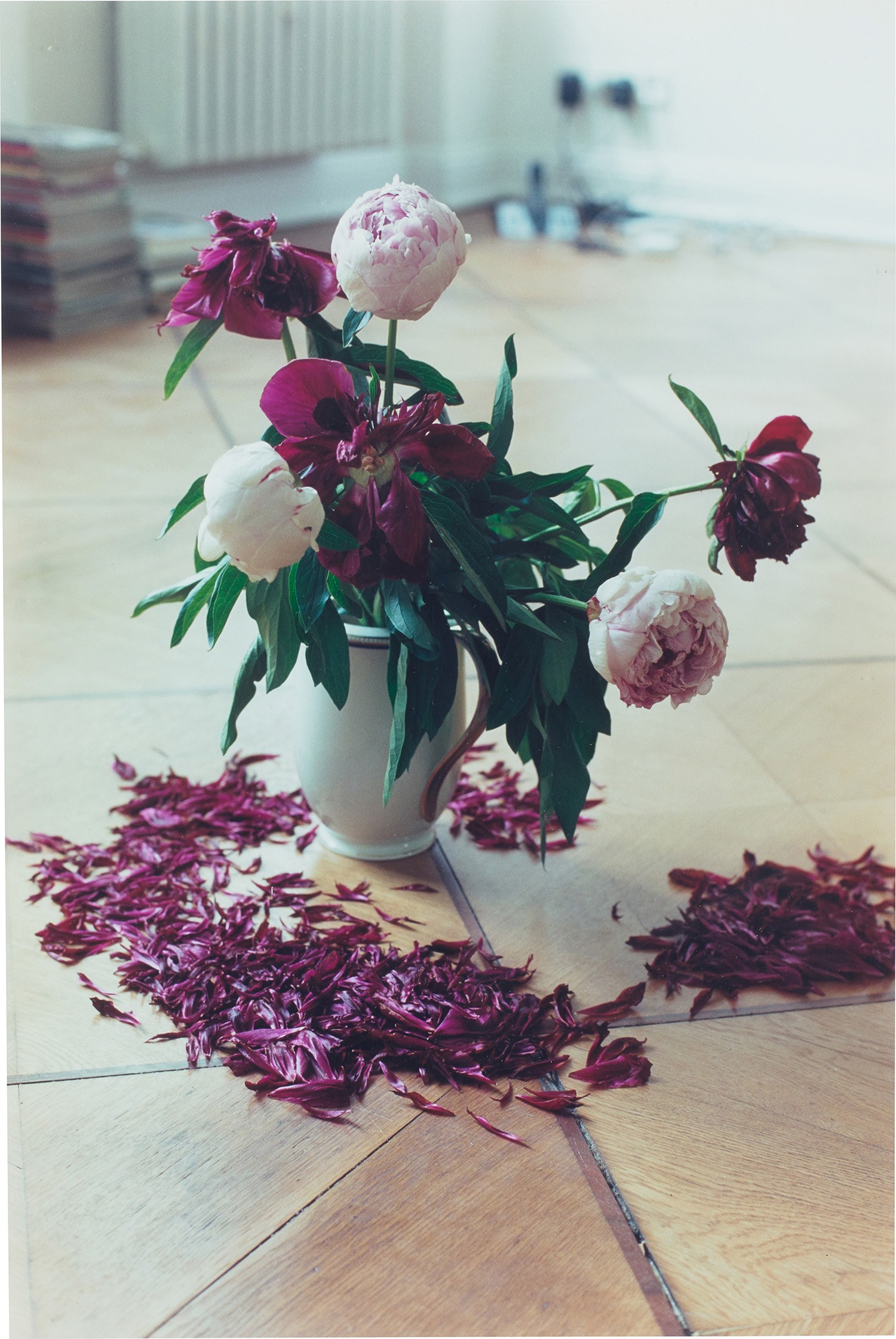 Wolfgang Tillmans — Pfingstrosen