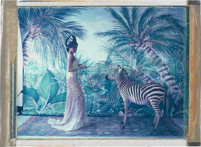 TW 2, 47 from L'arche de Noé