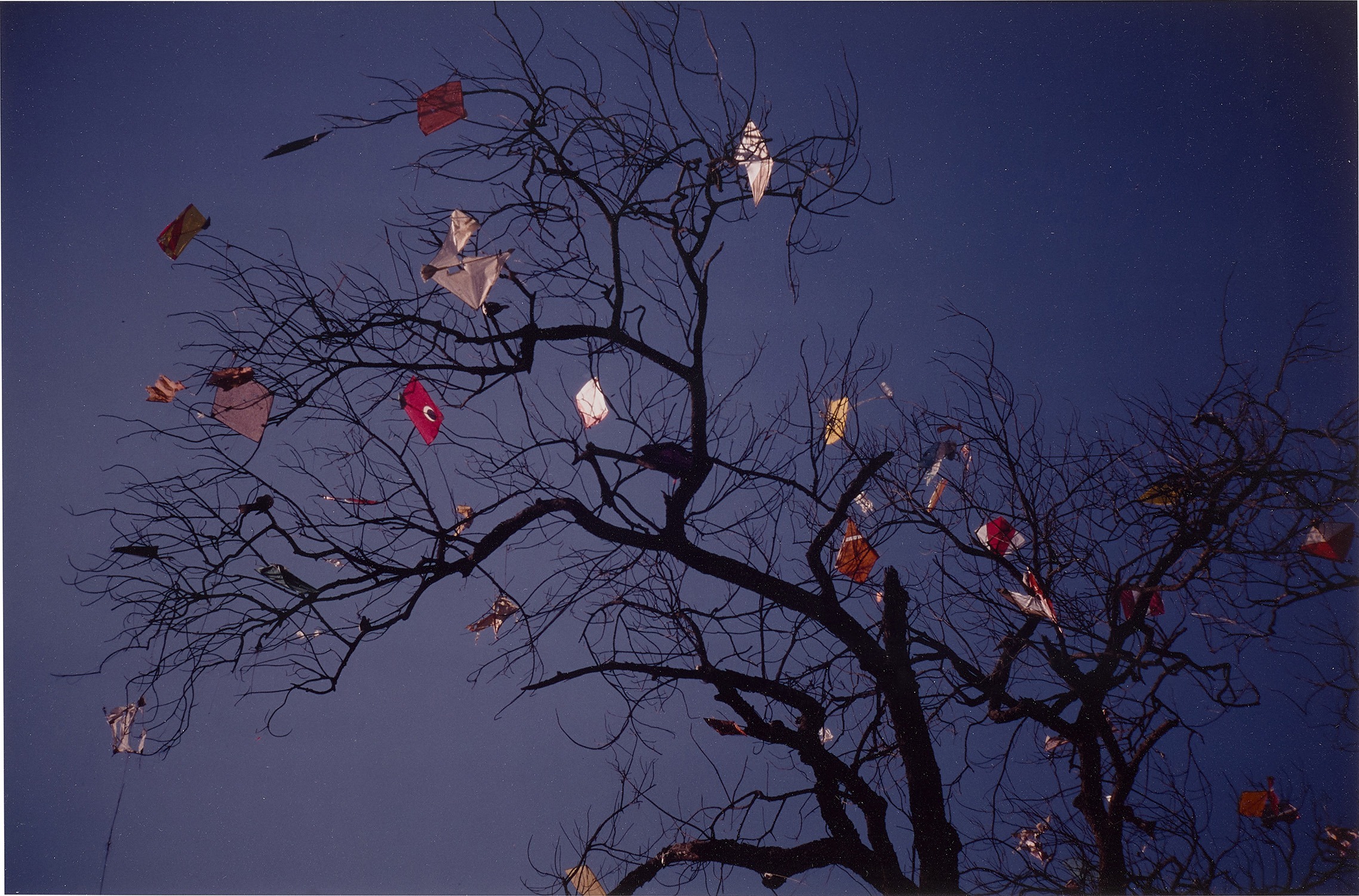 Gabriel Orozco — Vitral