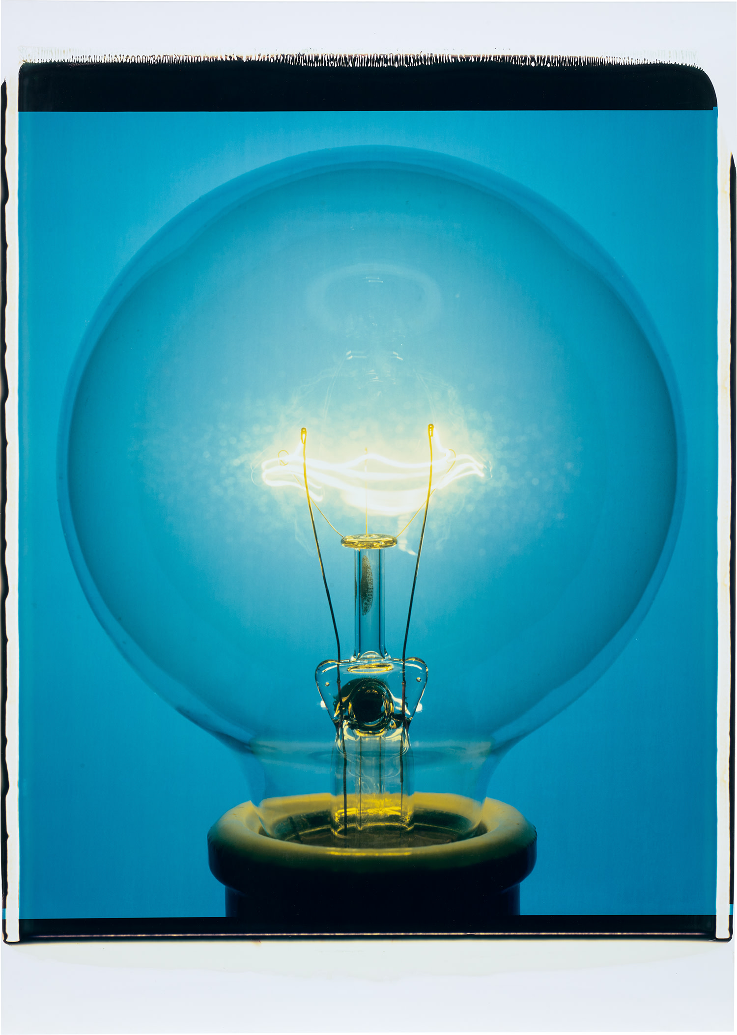 Reine Paradis — L’Envol from Jungle