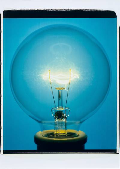 L’Envol from Jungle