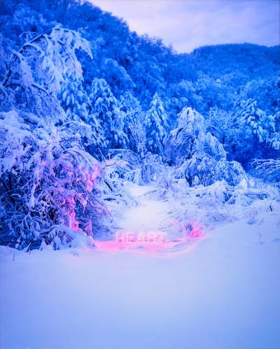 Paris, Cathédrale Notre-Dame from FACADES