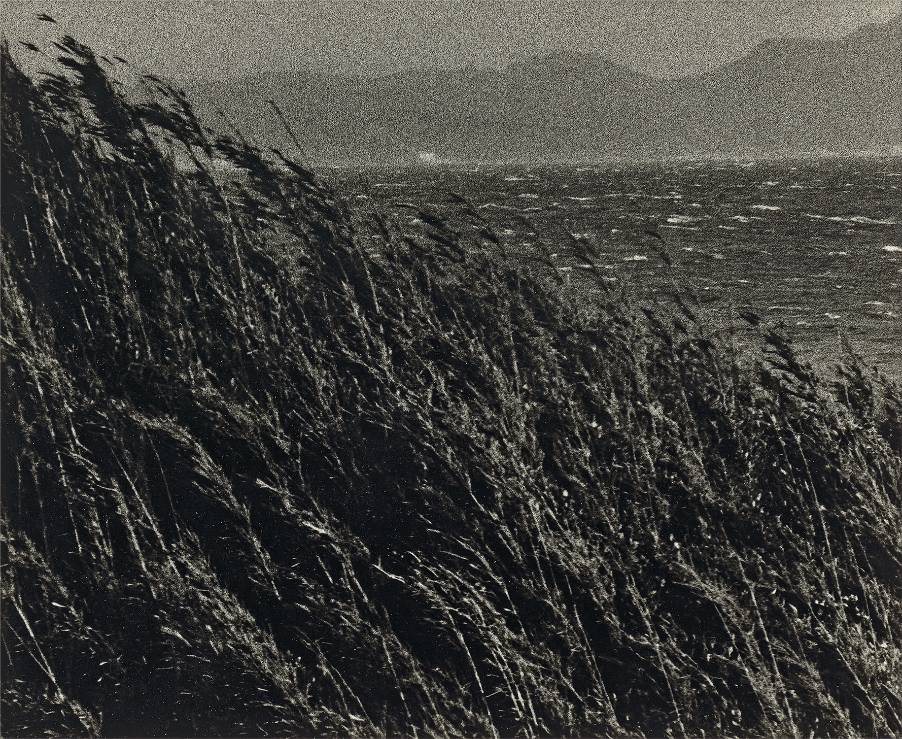 Ishiuchi Miyako — Yokosuka Story #15