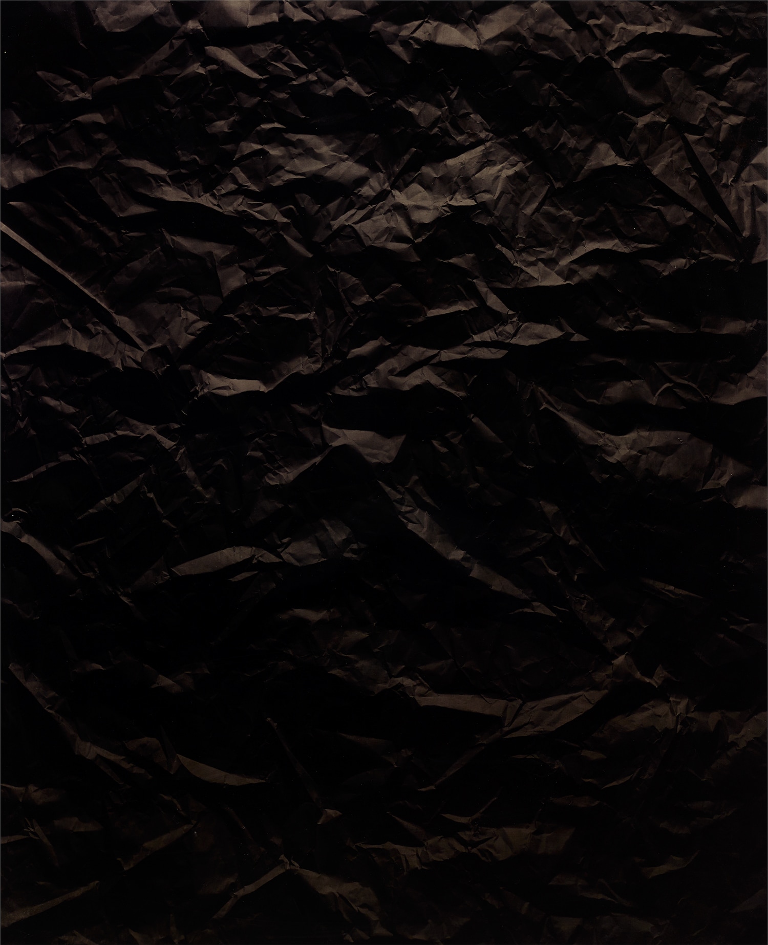 Iris et Ronces, Tanger