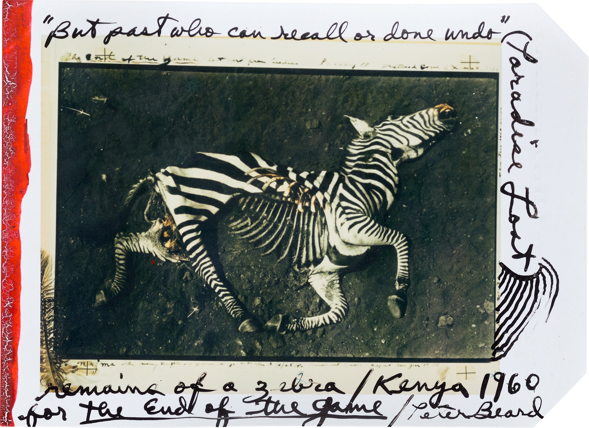 Nick Brandt — Baboons in Profile, Amboseli