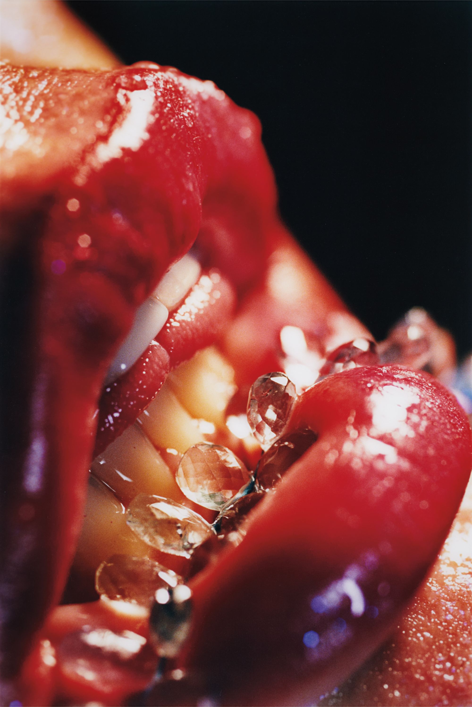 Marilyn Minter — Bridle