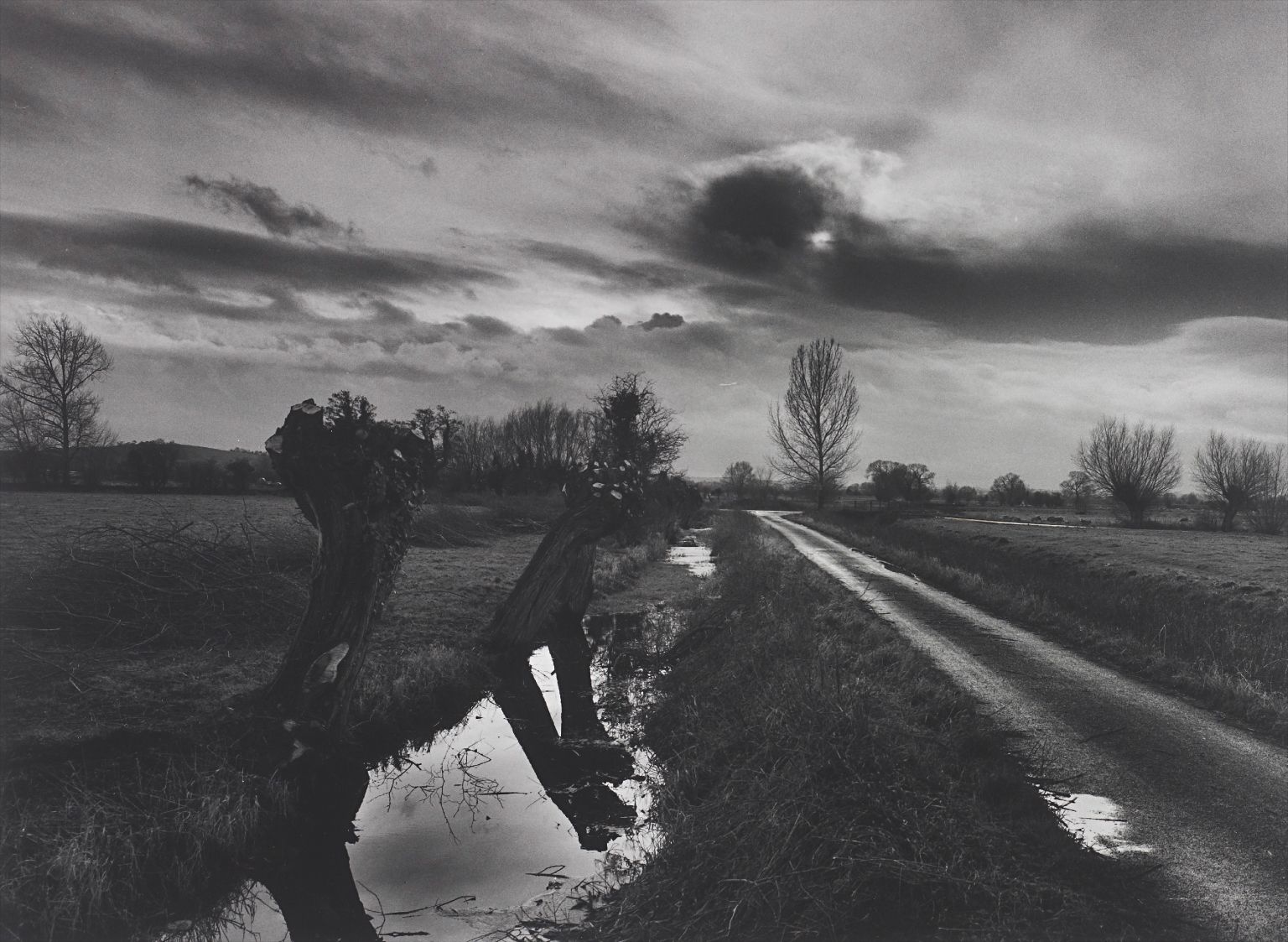 The Somerset Levels, Winter