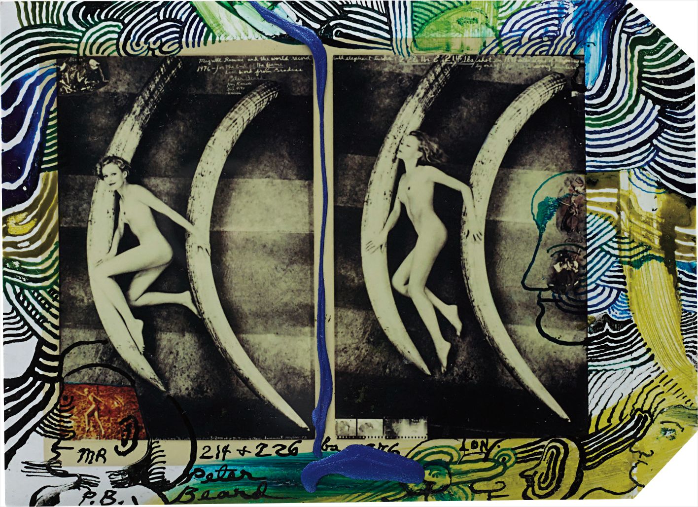 Peter Beard — Magritte Ramme in the basement of the Natural History Museum, London with the world record elephants tusks: 214 lbs and 226 1/4 lbs