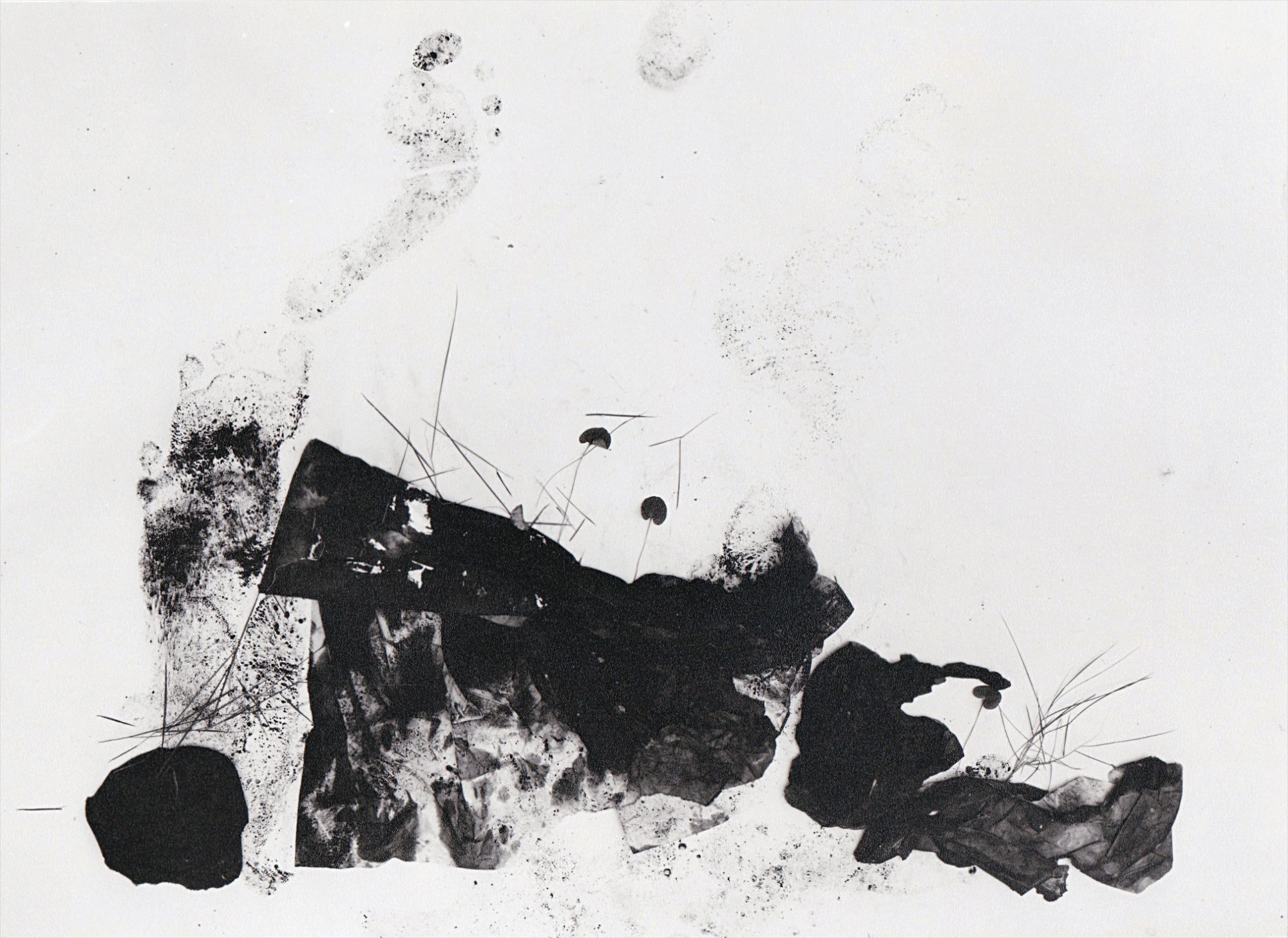 Adou — Leaves of Grass No. 151