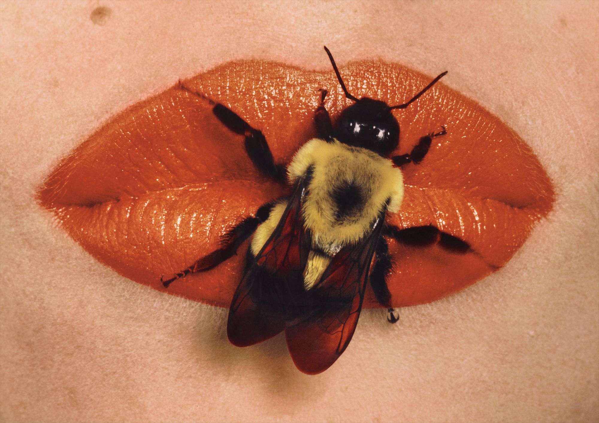 Irving Penn — Bee on Lips, New York