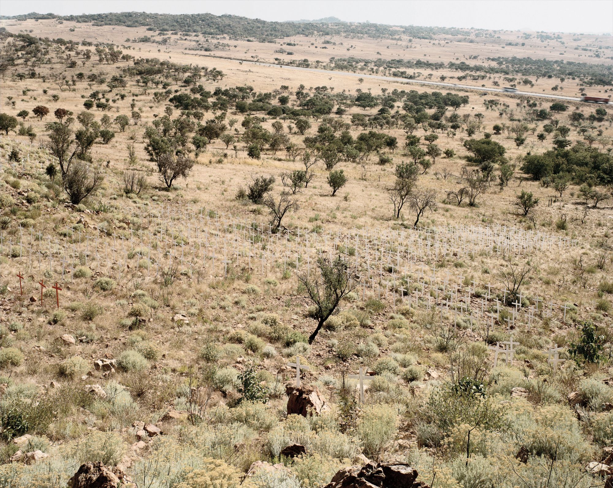 David Goldblatt — Crosses Erected by farmers in Commemoration of those killed in farm murders and in protest against the frequency and violence of these crimes, Rietvlei, district Polokwane, Limpopo, June 19
