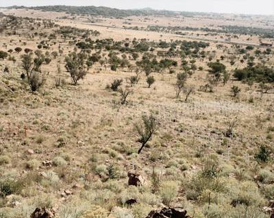 Crosses Erected by farmers in Commemoration of those killed in farm murders and in protest against the frequency and violence of these crimes, Rietvlei, district Polokwane, Limpopo, June 19