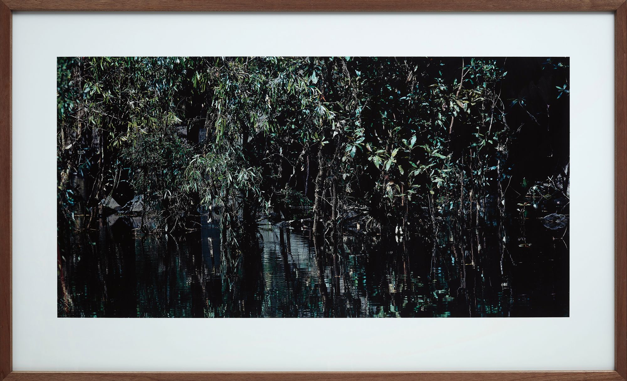 Kakadu National Park I, Australia