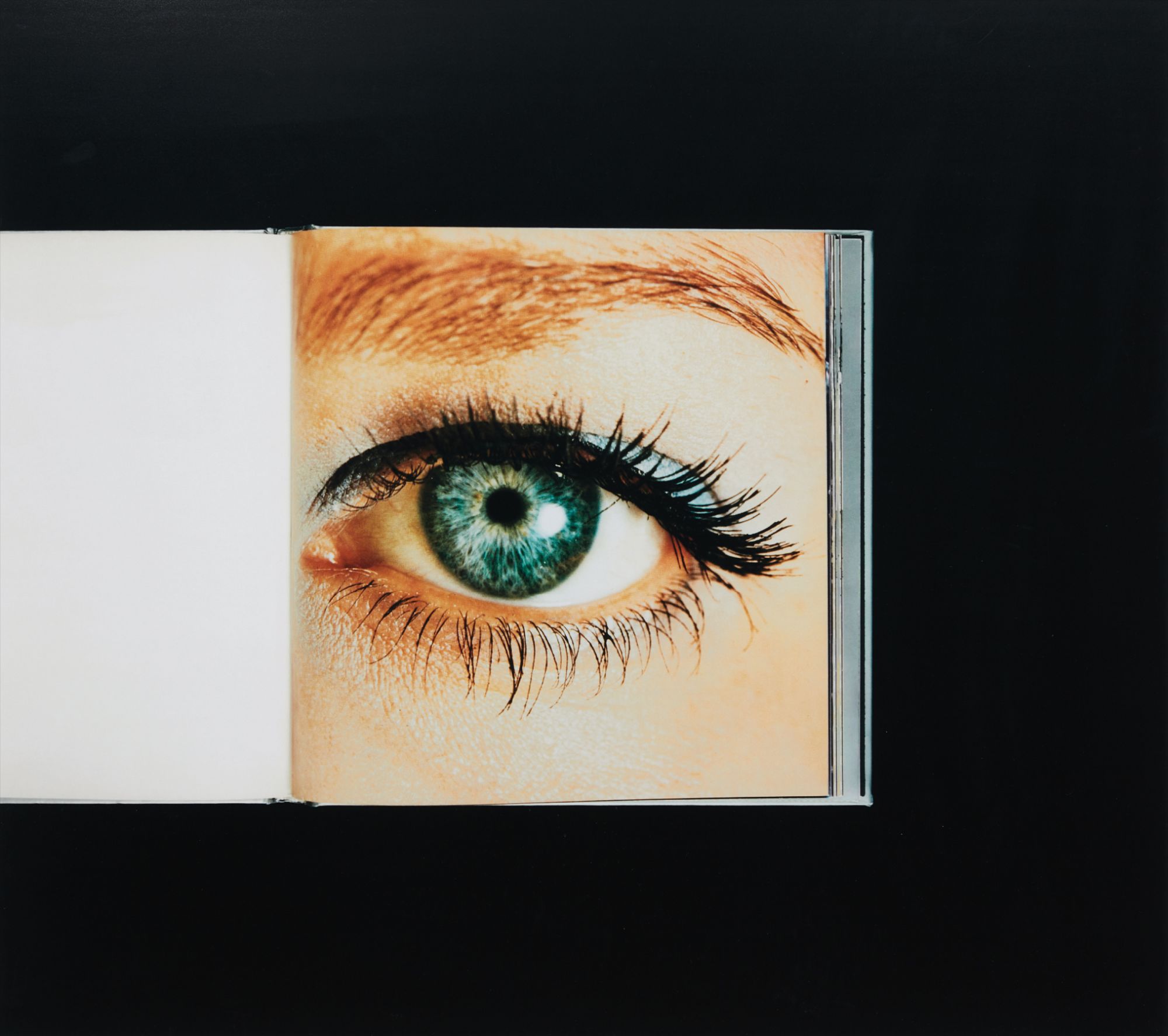 Anne Collier — Eye (Enlargement of Color Negative)