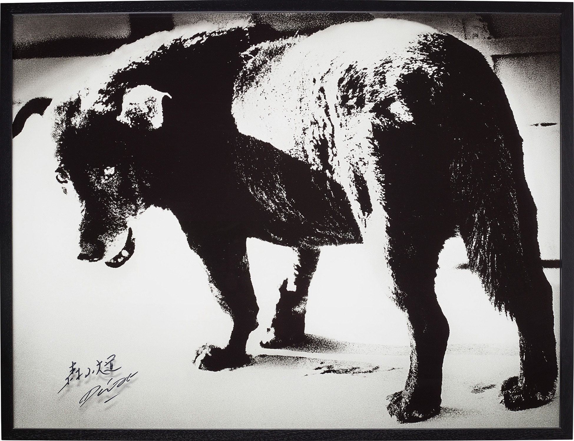 Daidō Moriyama — Stray Dog, Misawa