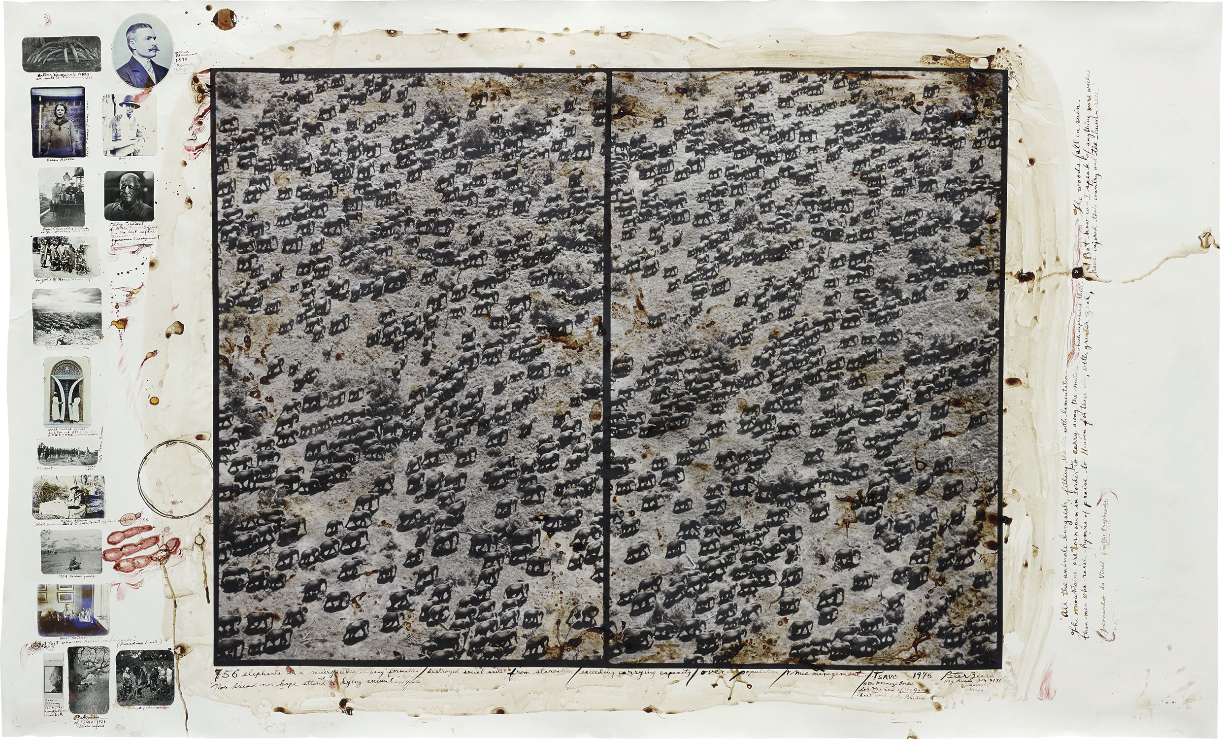 Peter Beard — 756 elephants in a “misery likes company” formation / destroyed social units from starvation / exceeding carrying capacity / over-population / + mismanagement / TSAVO / @ the Mkomazi border / for The End of the Game / last word from Paradise