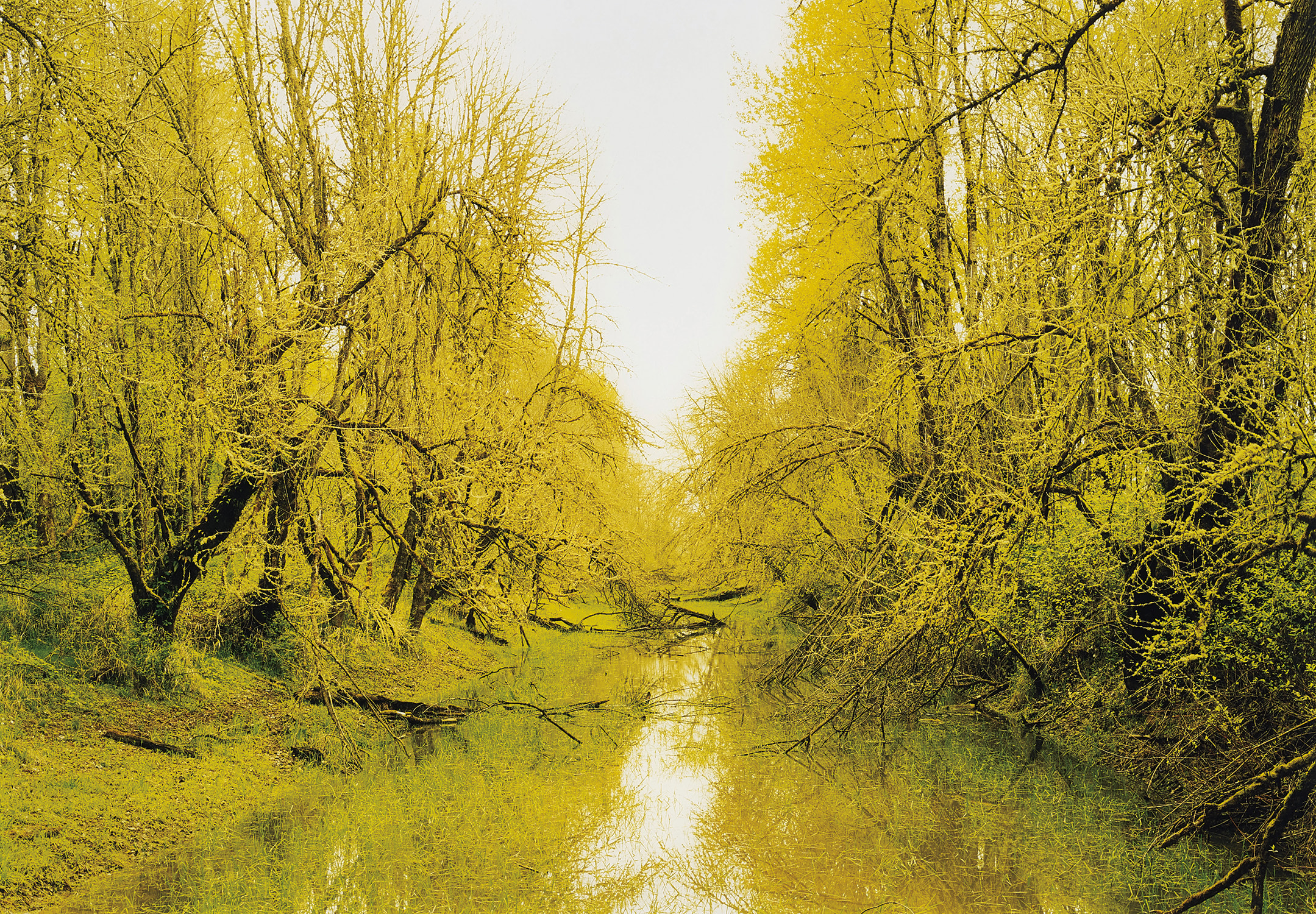 Elger Esser — Puget Island II