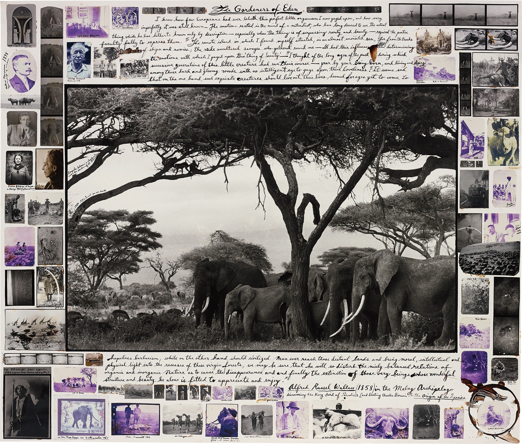 Peter Beard — The Gardeners of Eden