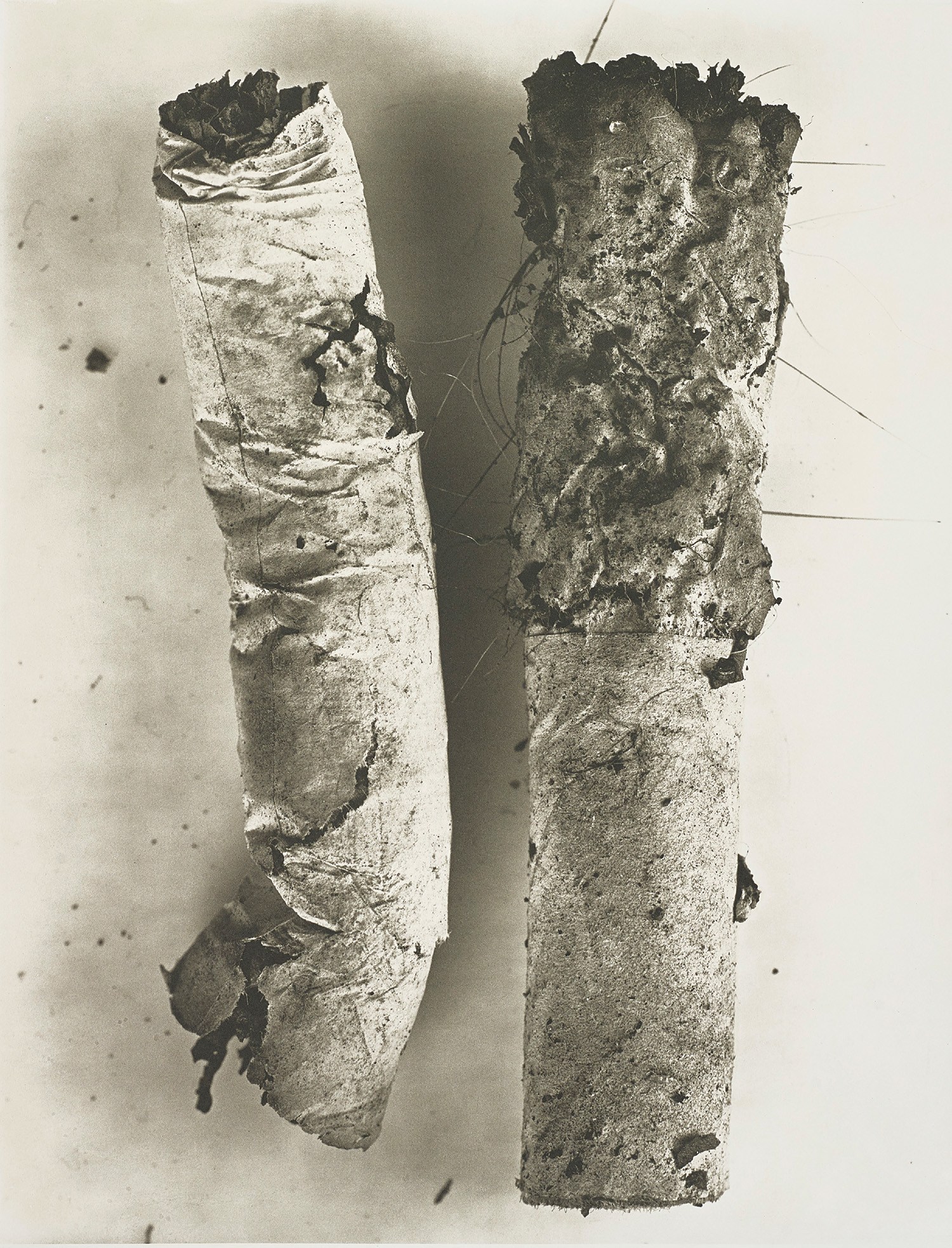 Irving Penn — Cigarette 17