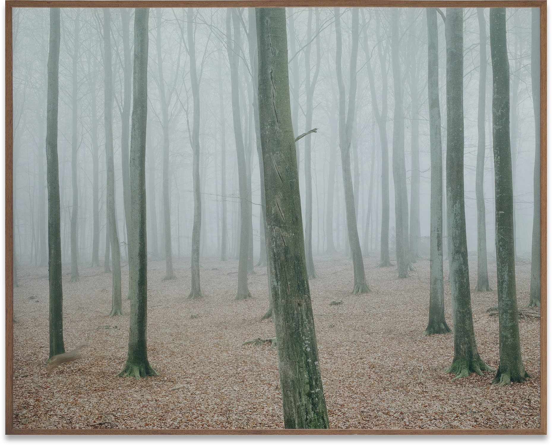 Nicolai Howalt — The Giant Hill from How to Hunt