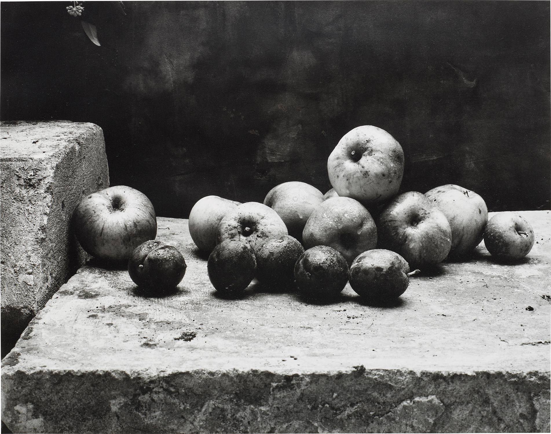 Don McCullin — Still Life