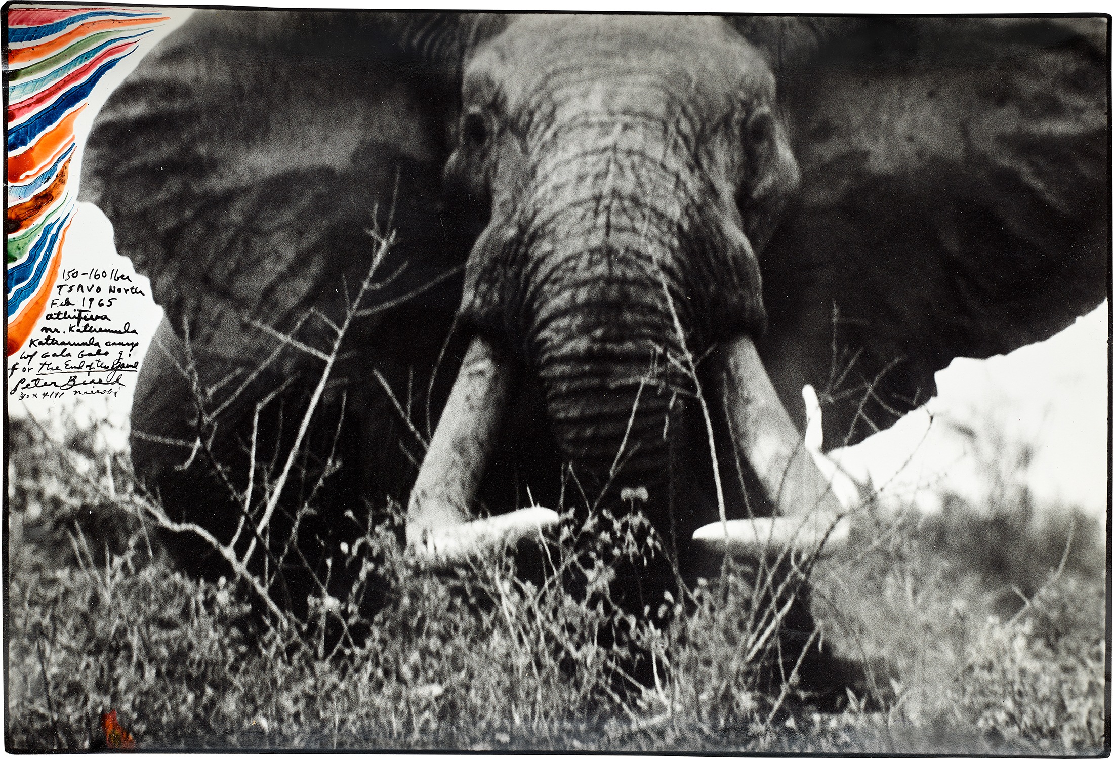 Peter Beard — 150-160 Iber, Tsavo North, Feb.