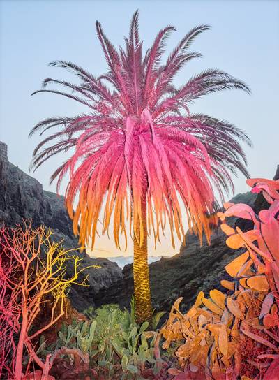 Junya Watanabe from Without A Face