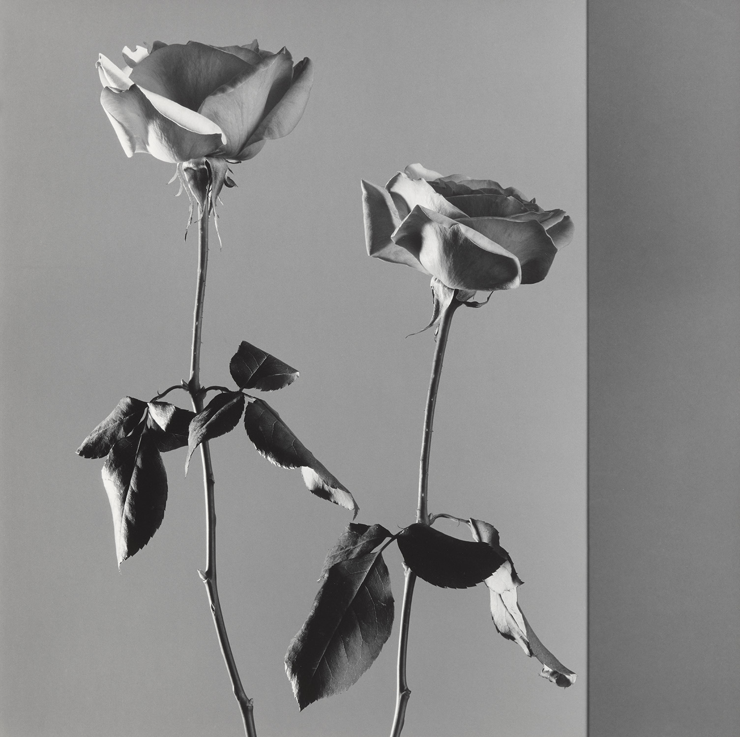 Peter Hujar — John McClellan with Diana