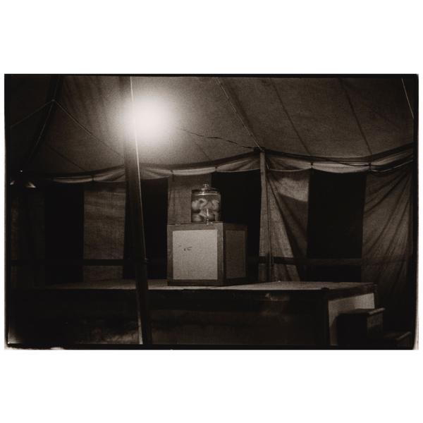 Diane Arbus — Siamese Twins in a carnival tent, N.J.